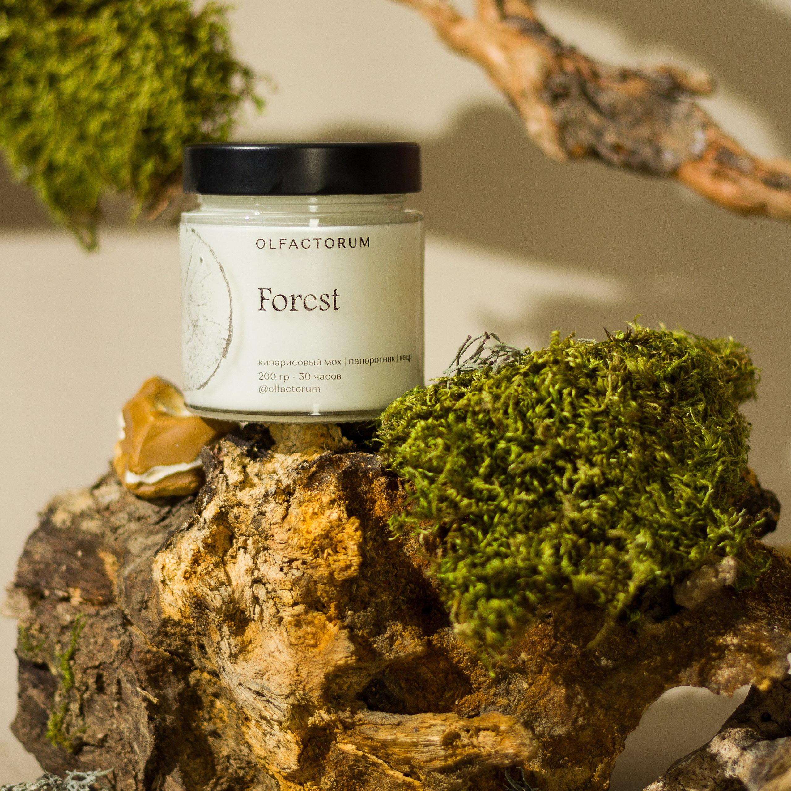 Предметный и студийный фотограф в Каспийске Кристина Кораблина