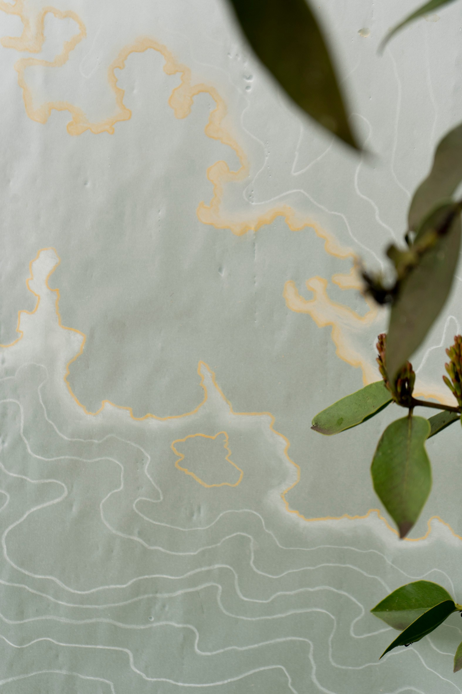 FANTOM MAP OF THE MOTHERLAND. Xexexena.ru