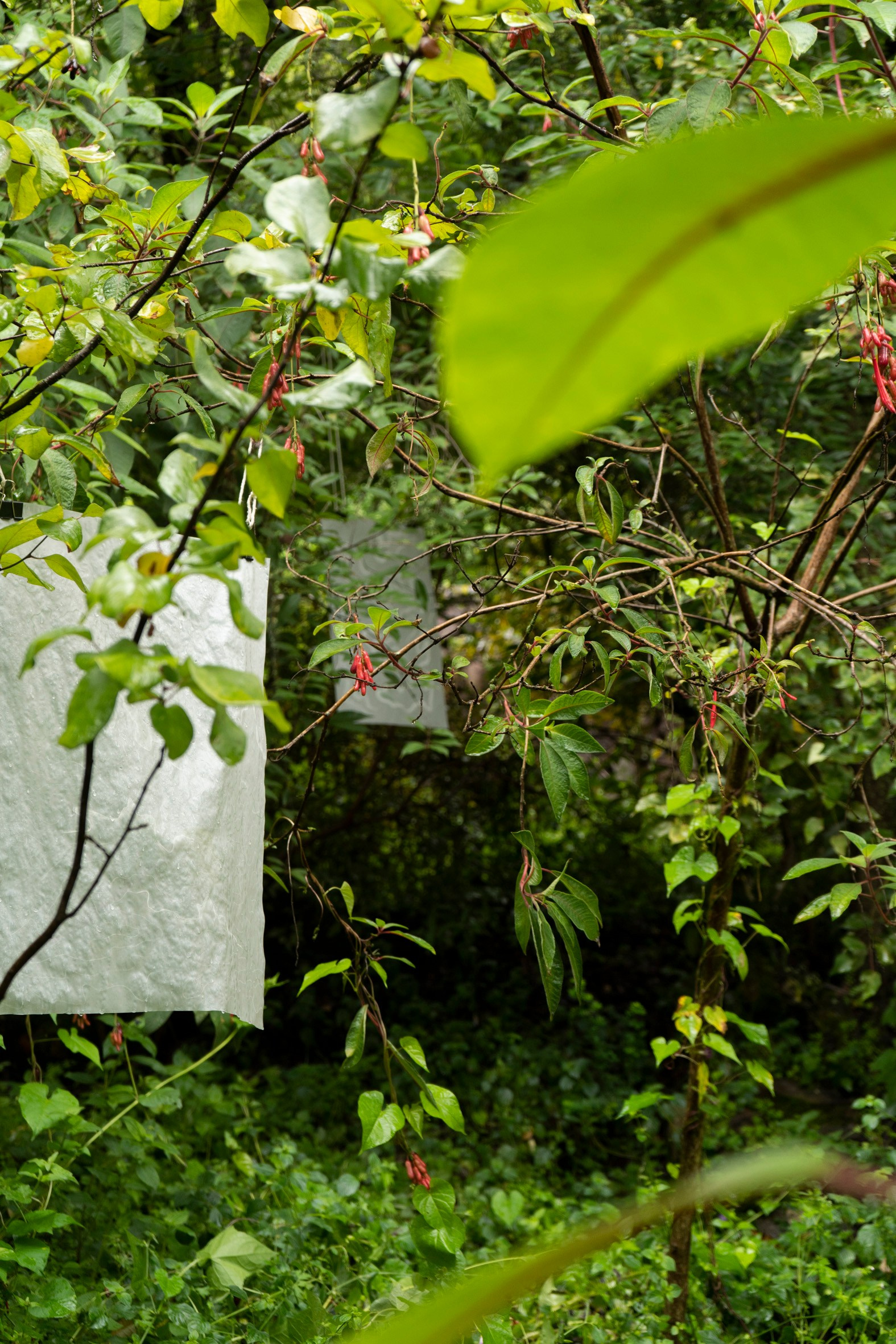 FANTOM MAP OF THE MOTHERLAND. Xexexena.ru