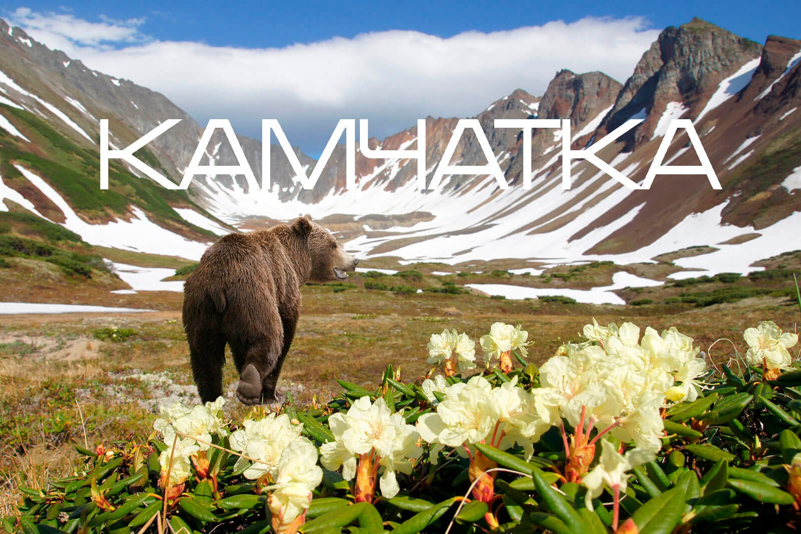 Анонс туров. Туры по России и миру