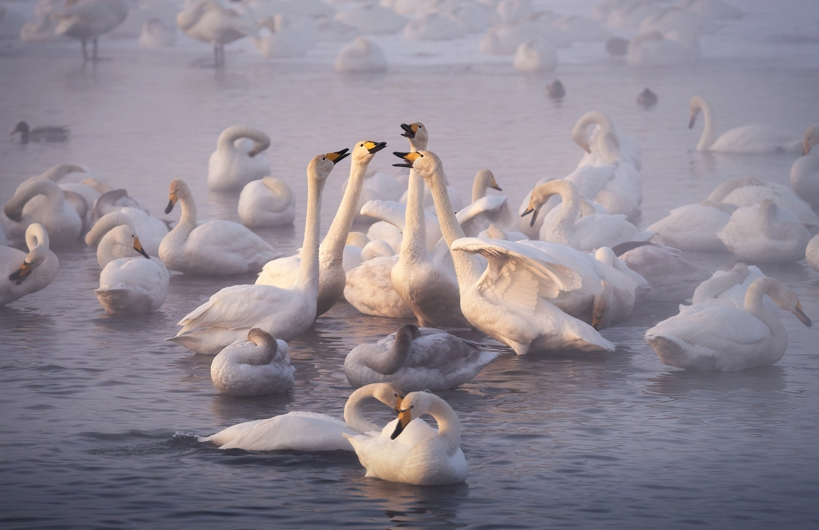 Профессиональный пейзажный фотограф Алёна Рубан