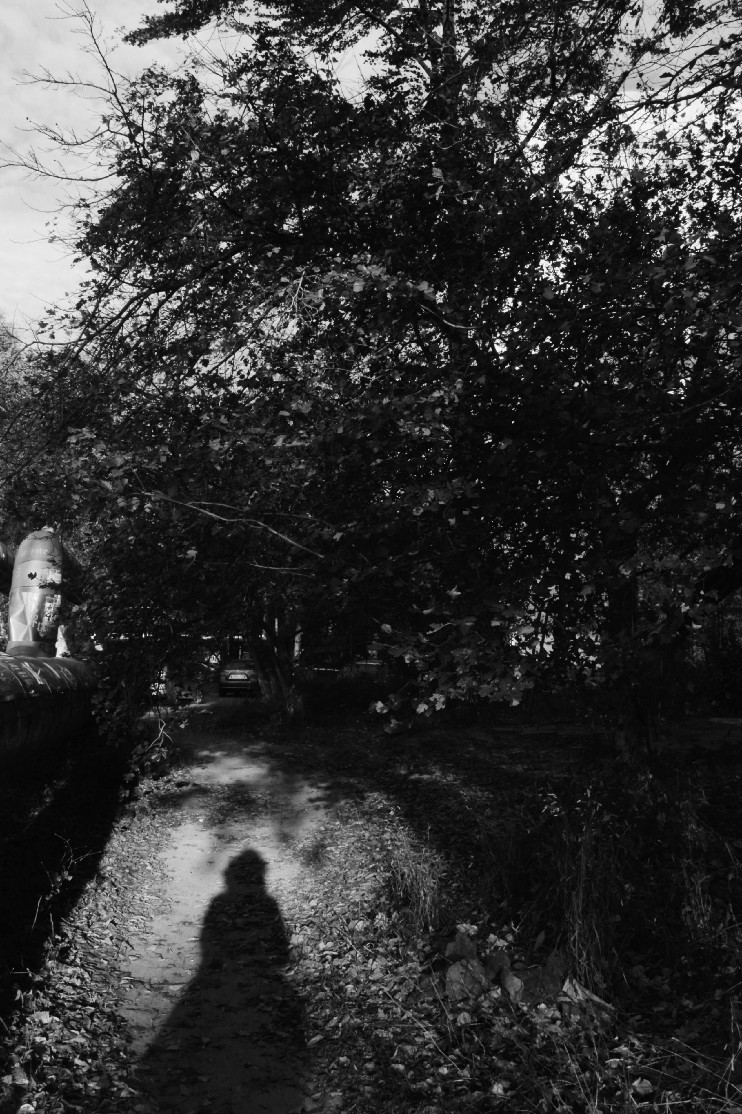 Стадион «Водник». Фотограф Яна Титова в Санкт-Петербурге