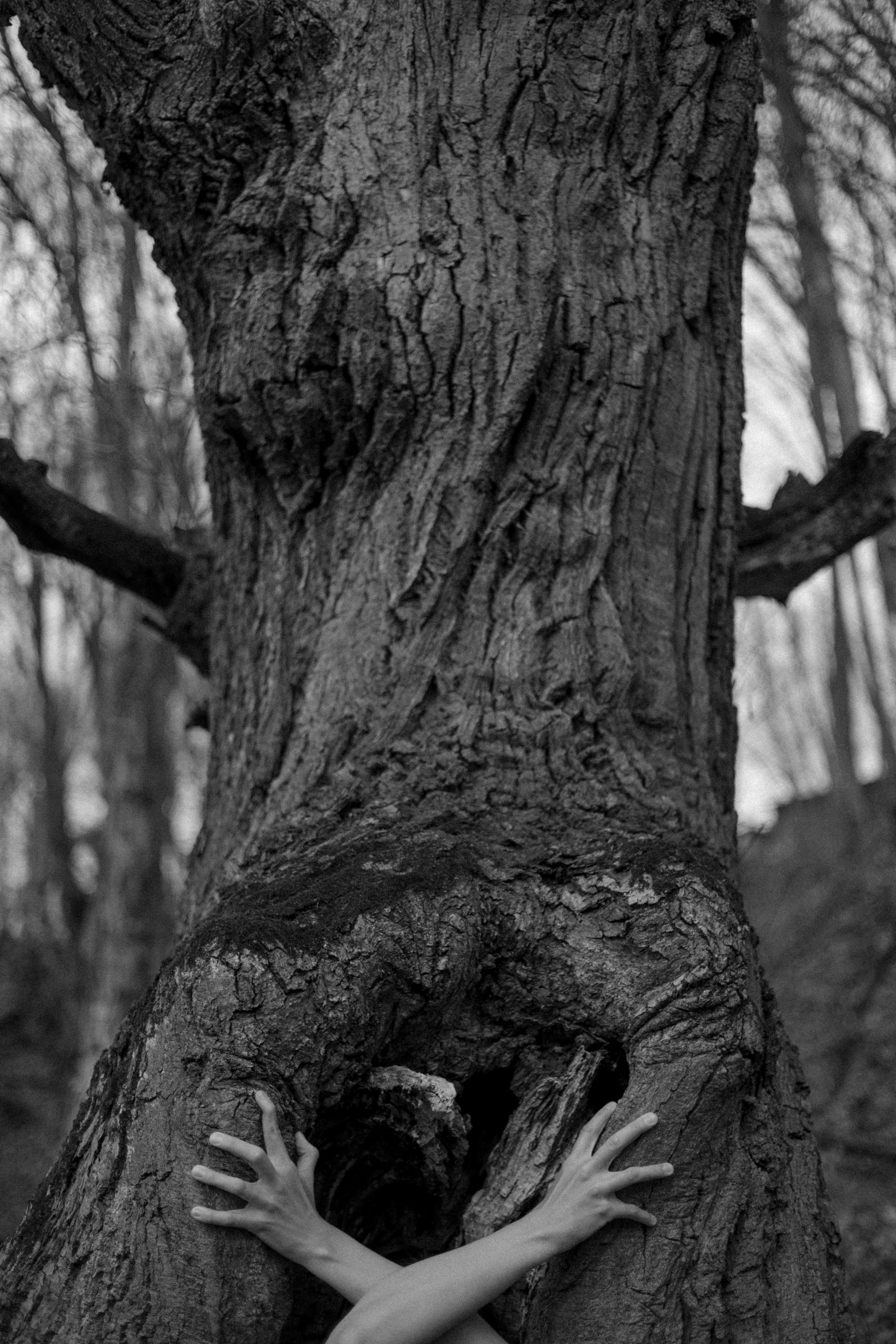 Solitude. Свадебный фотограф Колесников Антон