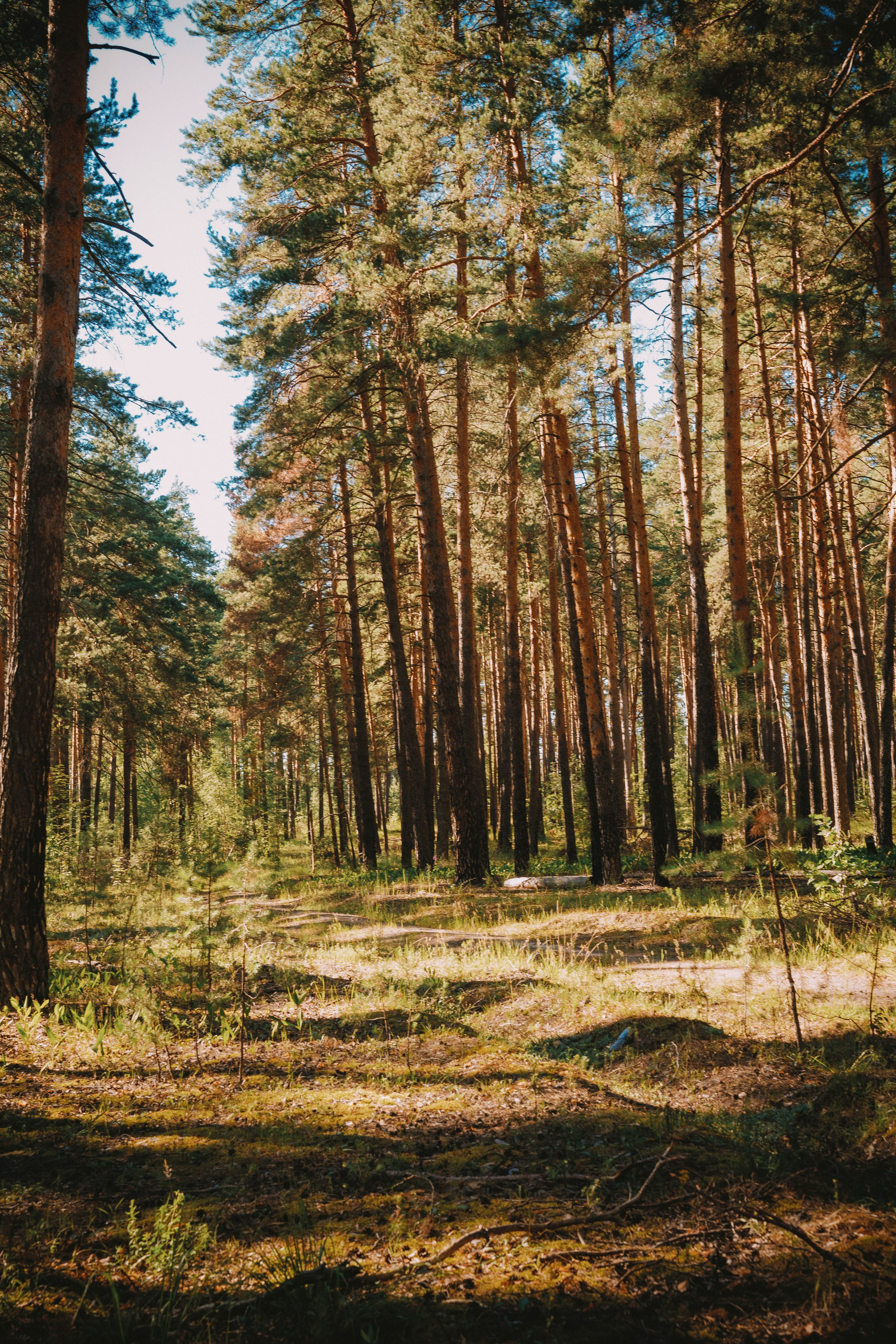 Нижний Новгород. Фотограф из Москвы — DASHA NOVA | Авторская фотография в разных жанрах