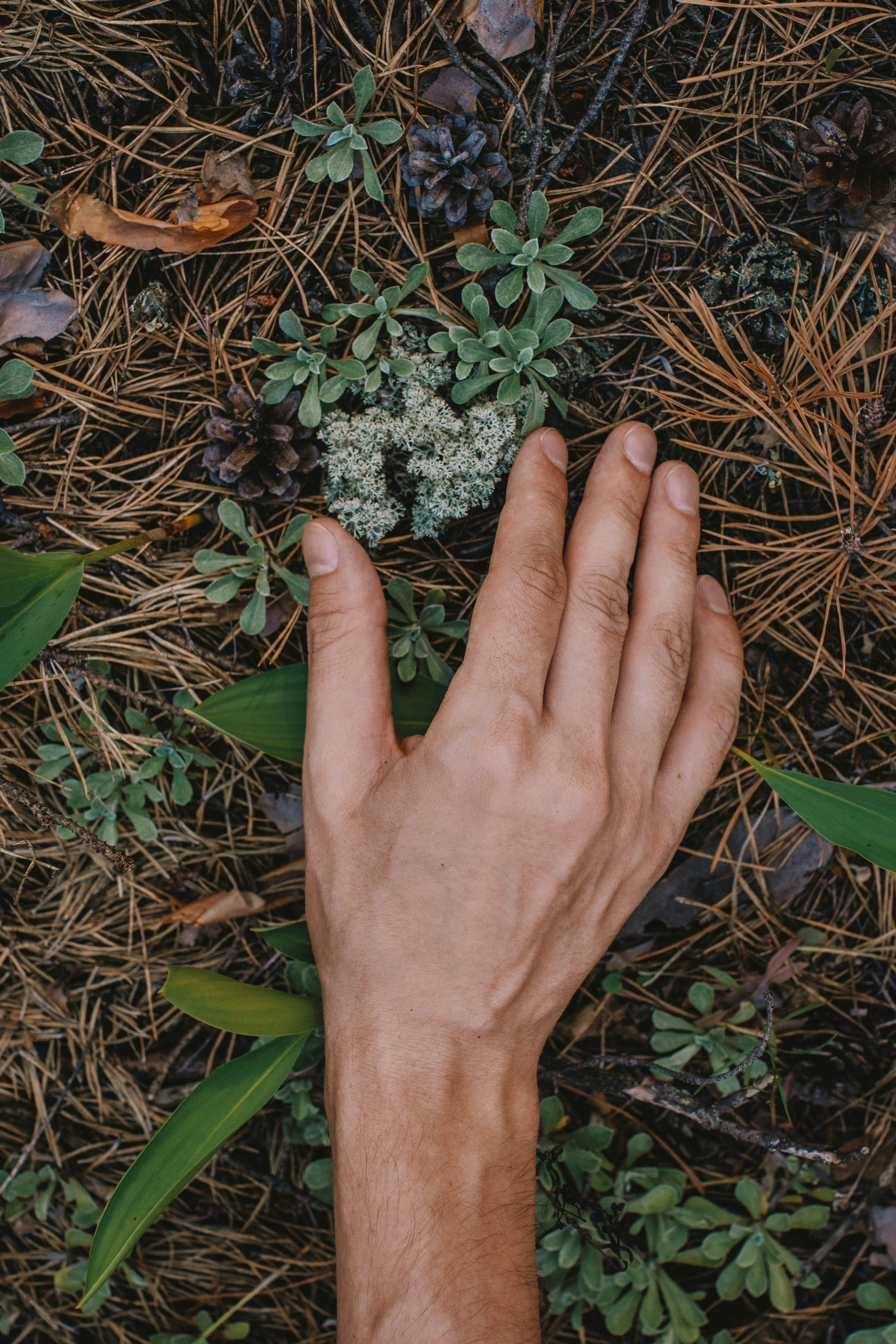 Нижний Новгород. Фотограф из Москвы — DASHA NOVA | Авторская фотография в разных жанрах