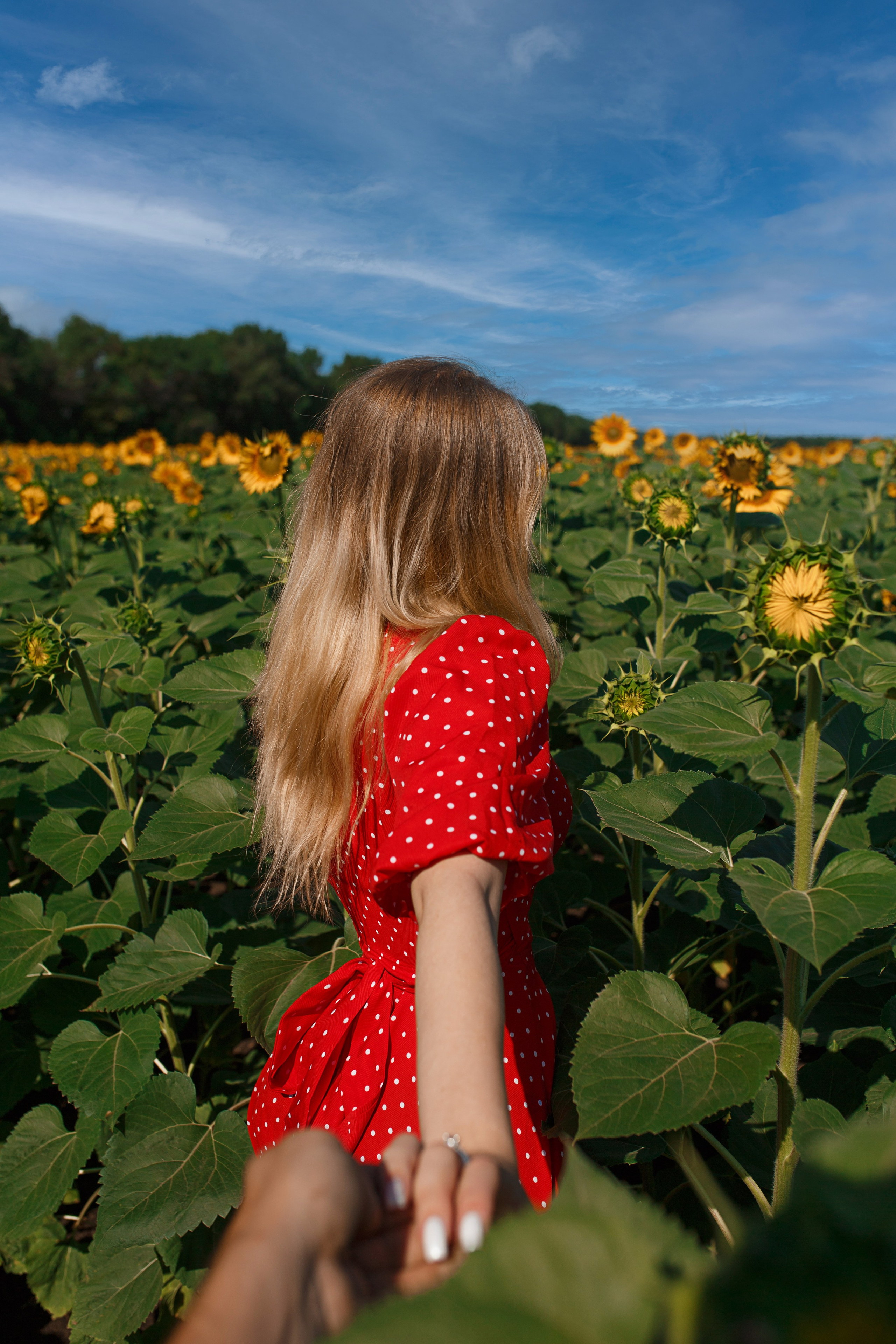 Свадебный, предметный и портретный фотограф в Волгограде