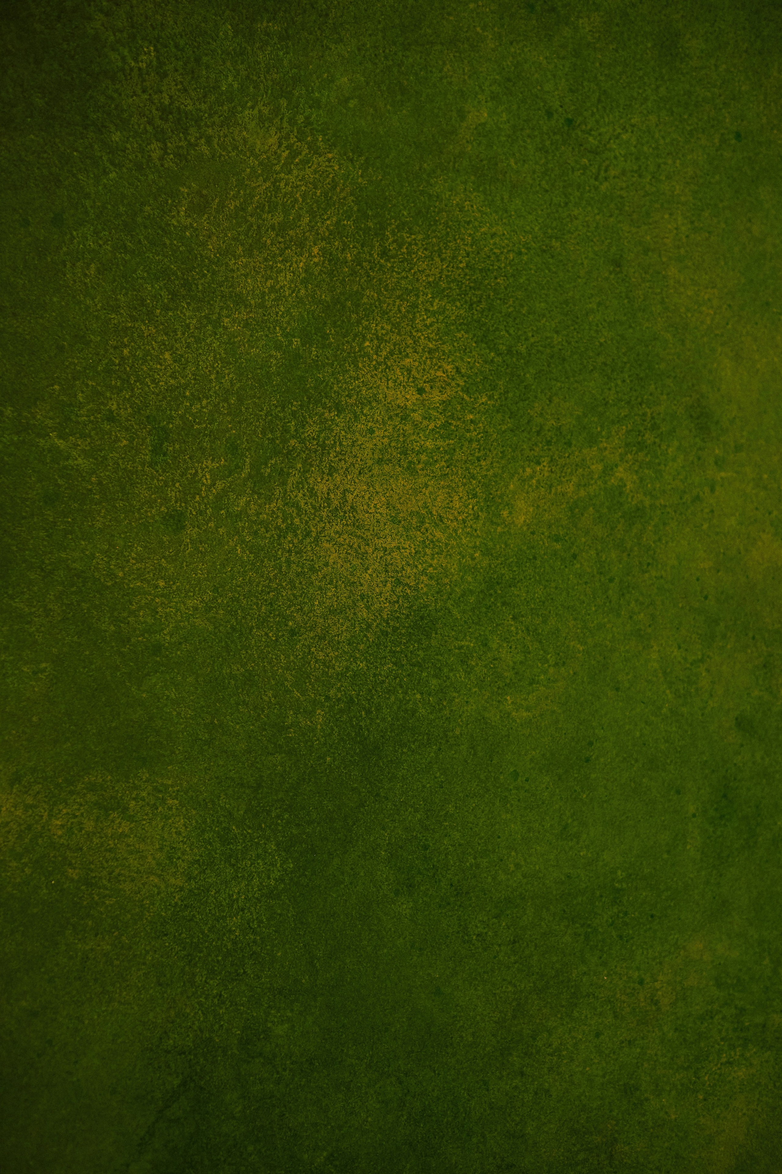 Canvas backdrop for photo studio|Interior furniture. Фотограф и видеограф в Санкт-Петербурге Прилепин Слава