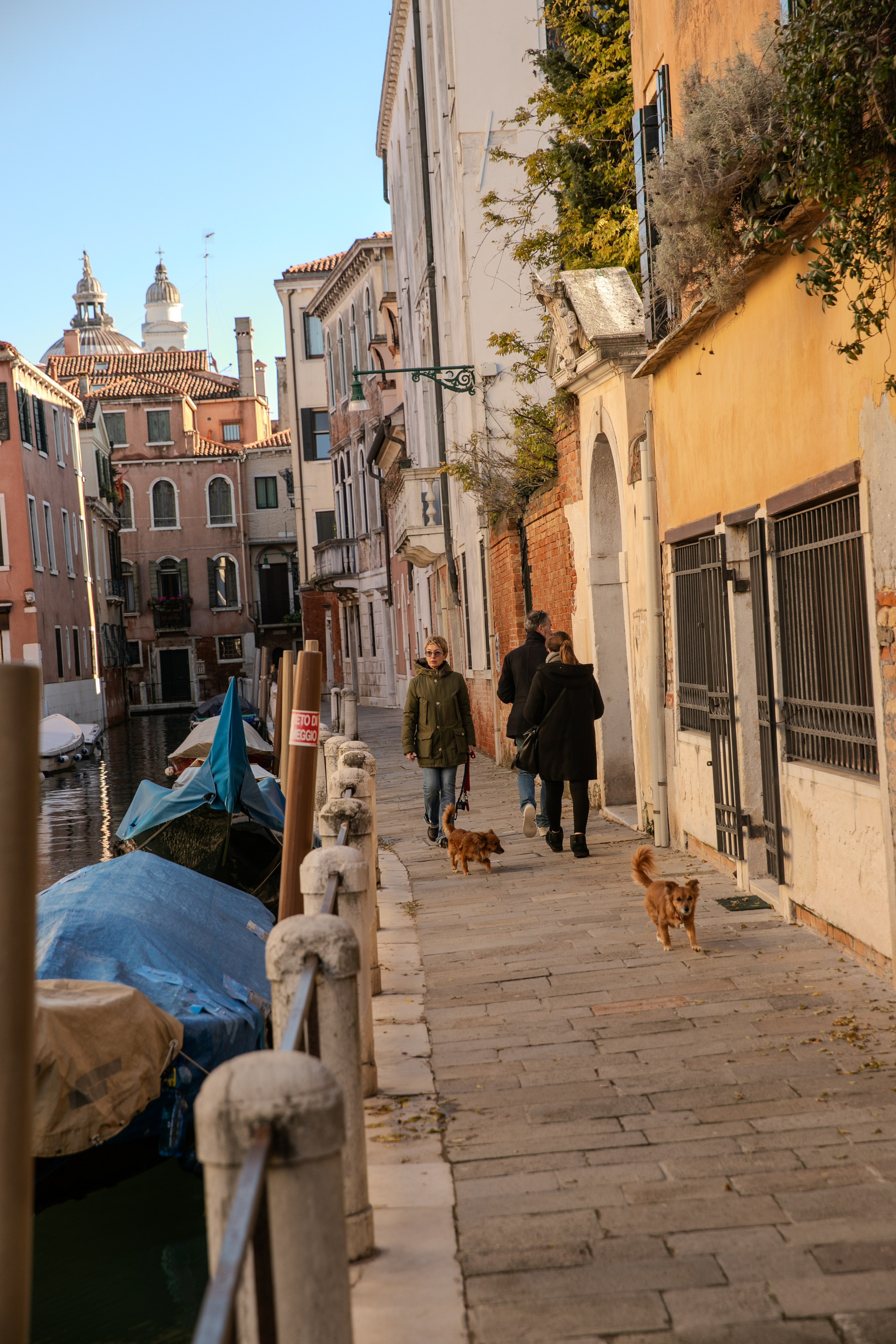 Зима в Венеции. Визуальный художник Лиана Даренская, Москва
