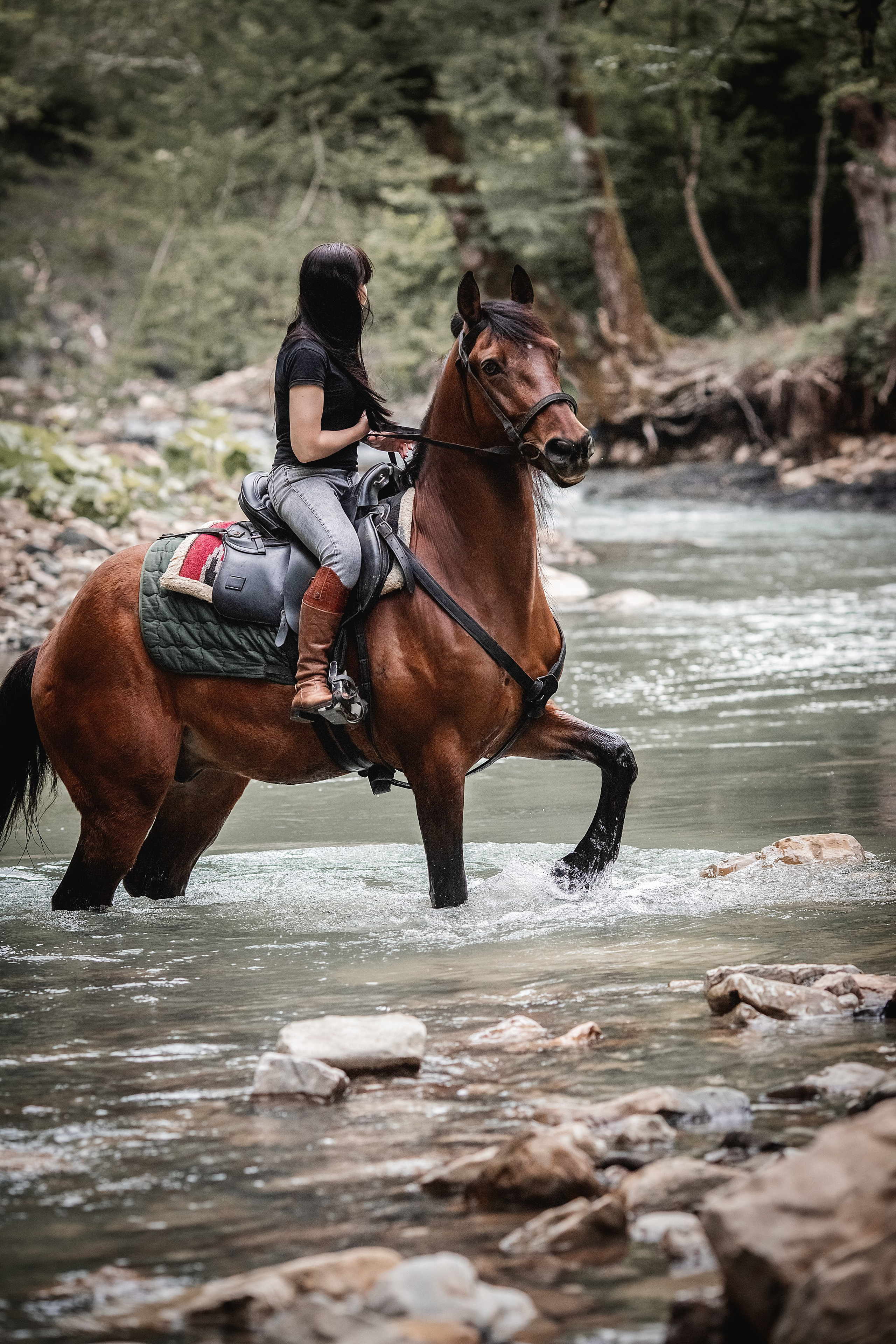 Контакты. BrisArts