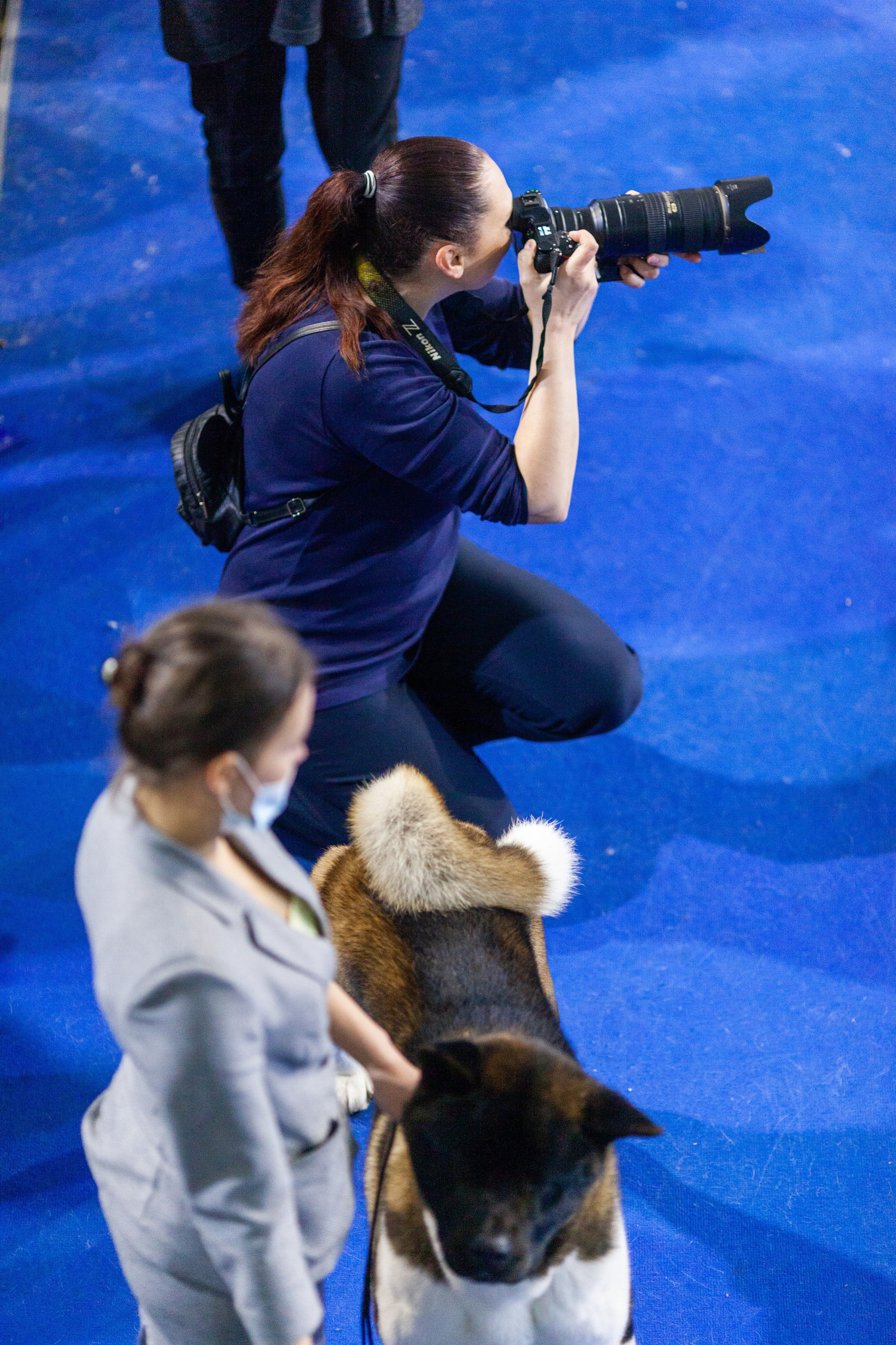 ✅ О СЕБЕ. Фотограф анималист Елена Галдина г. Красноярск