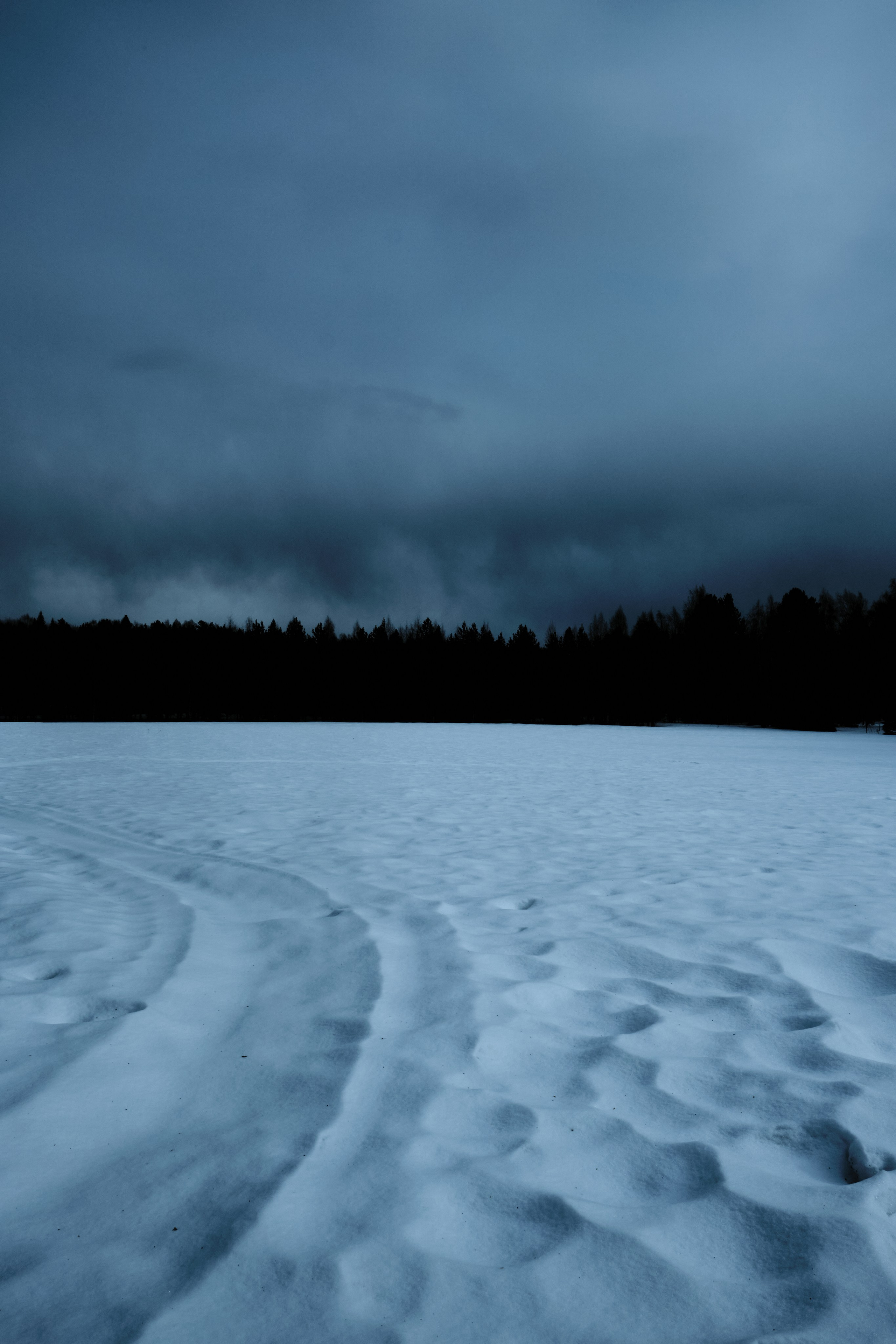 Продажа работ. Izma photos