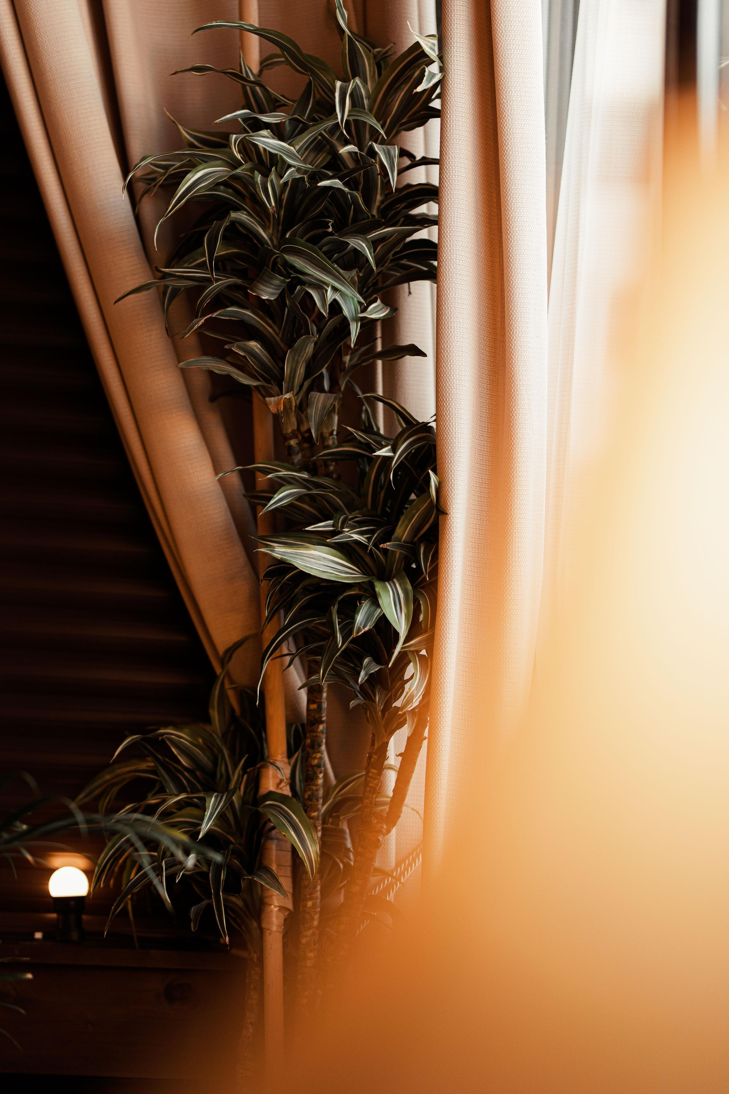 Фотограф Артур Дзахмишев