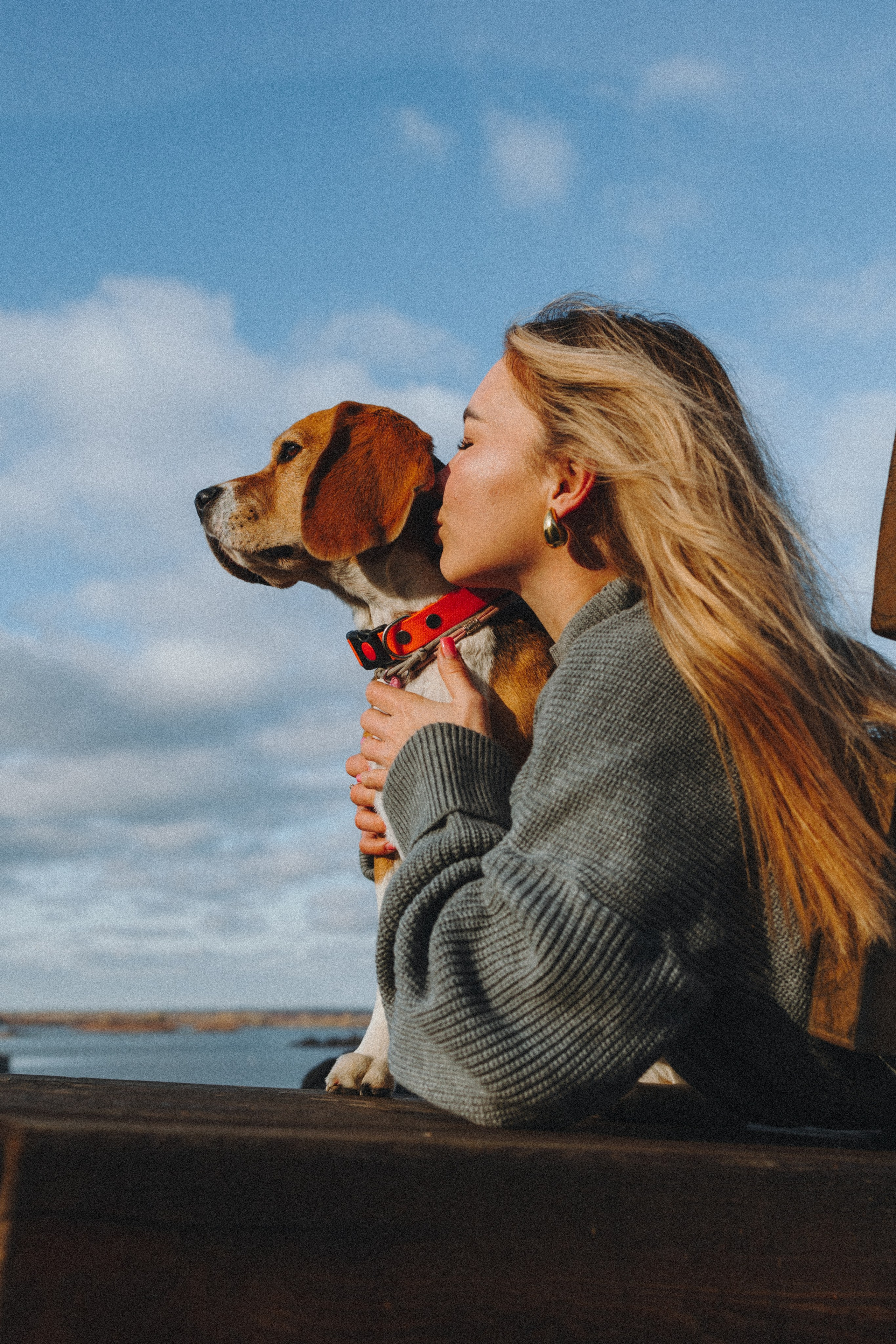 Фотограф — анималист Светлана Кысса|фотограф собак в Краснодаре и Нижнем Новгороде