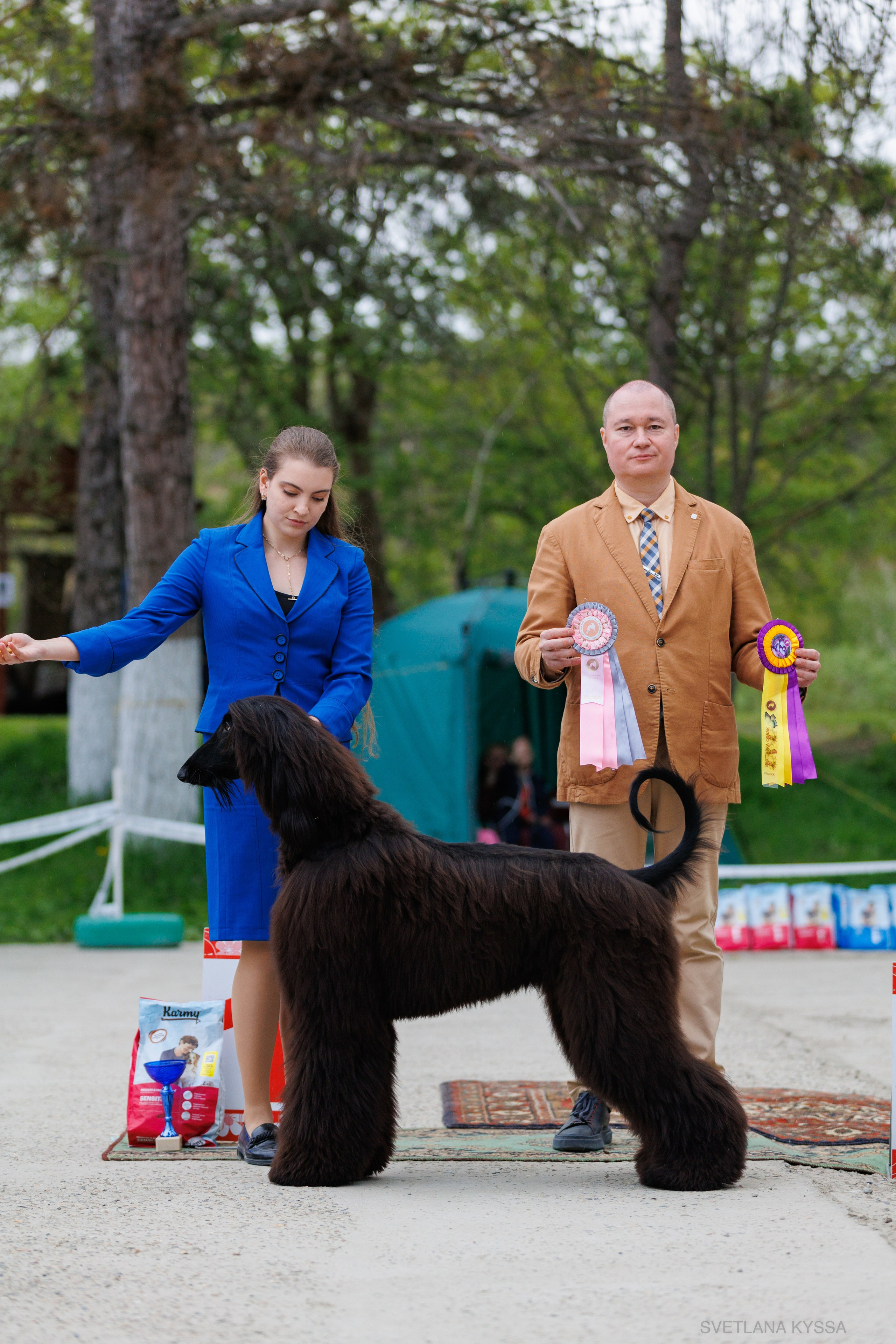 Фотограф — анималист Светлана Кысса|фотограф собак в Краснодаре и Нижнем Новгороде