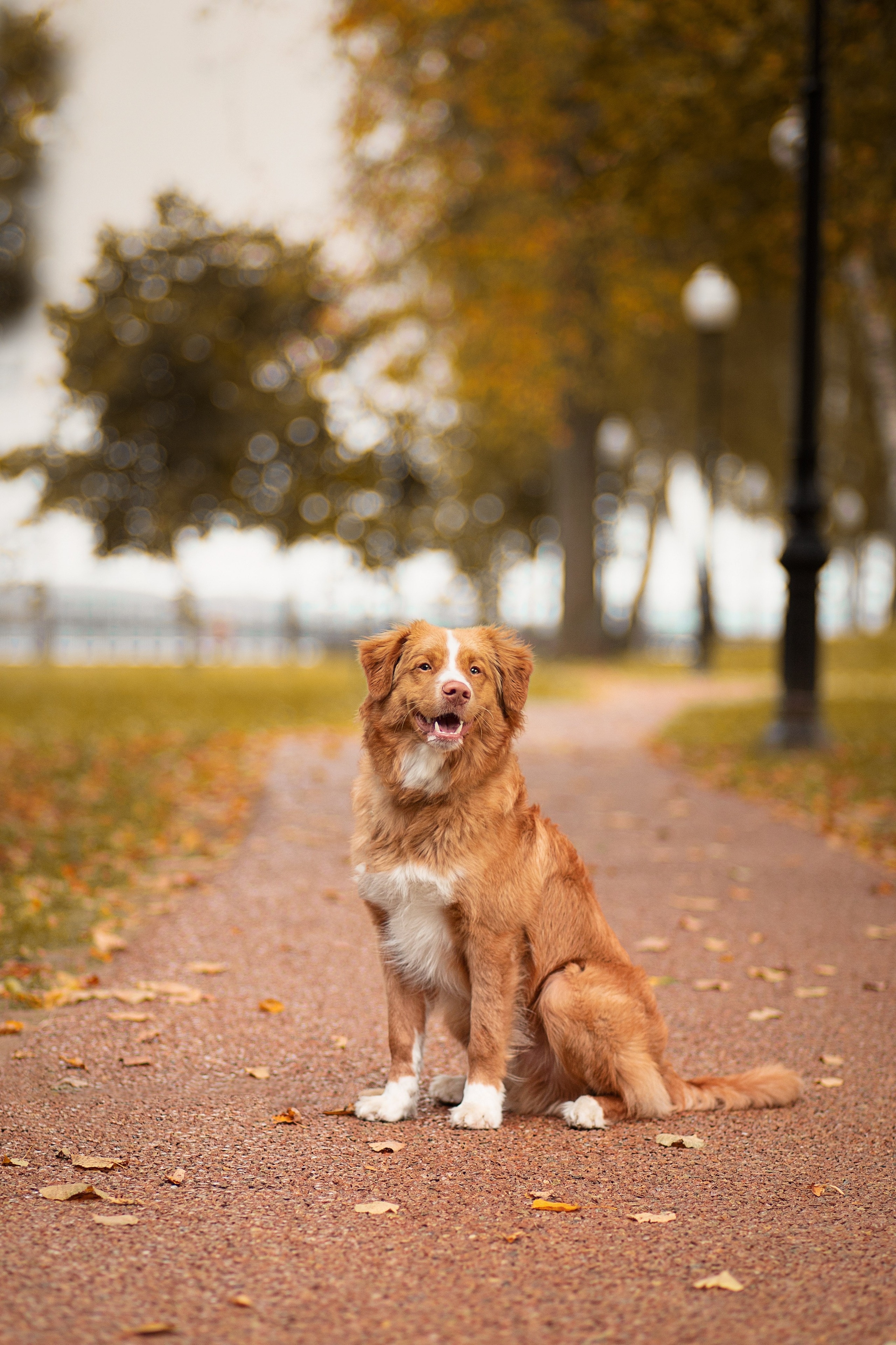 Юлия Микульская. Рыбинск