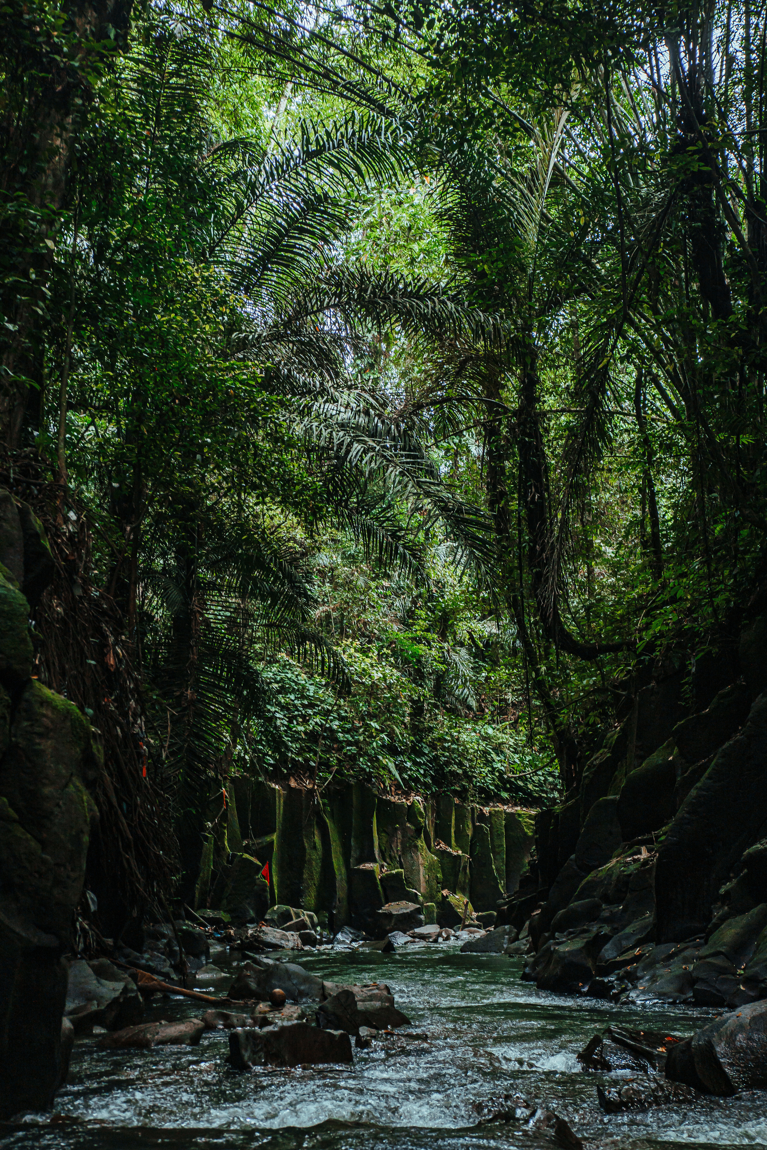 Контакты. Главная