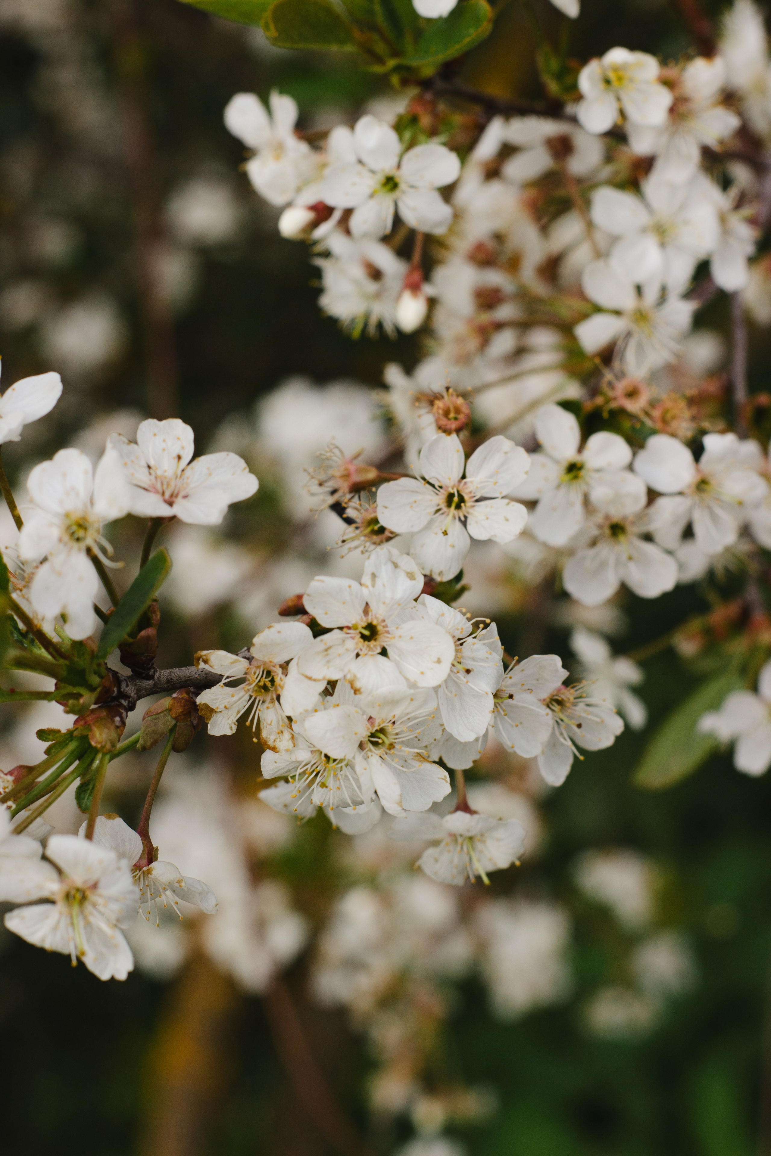 Контакты. Главная