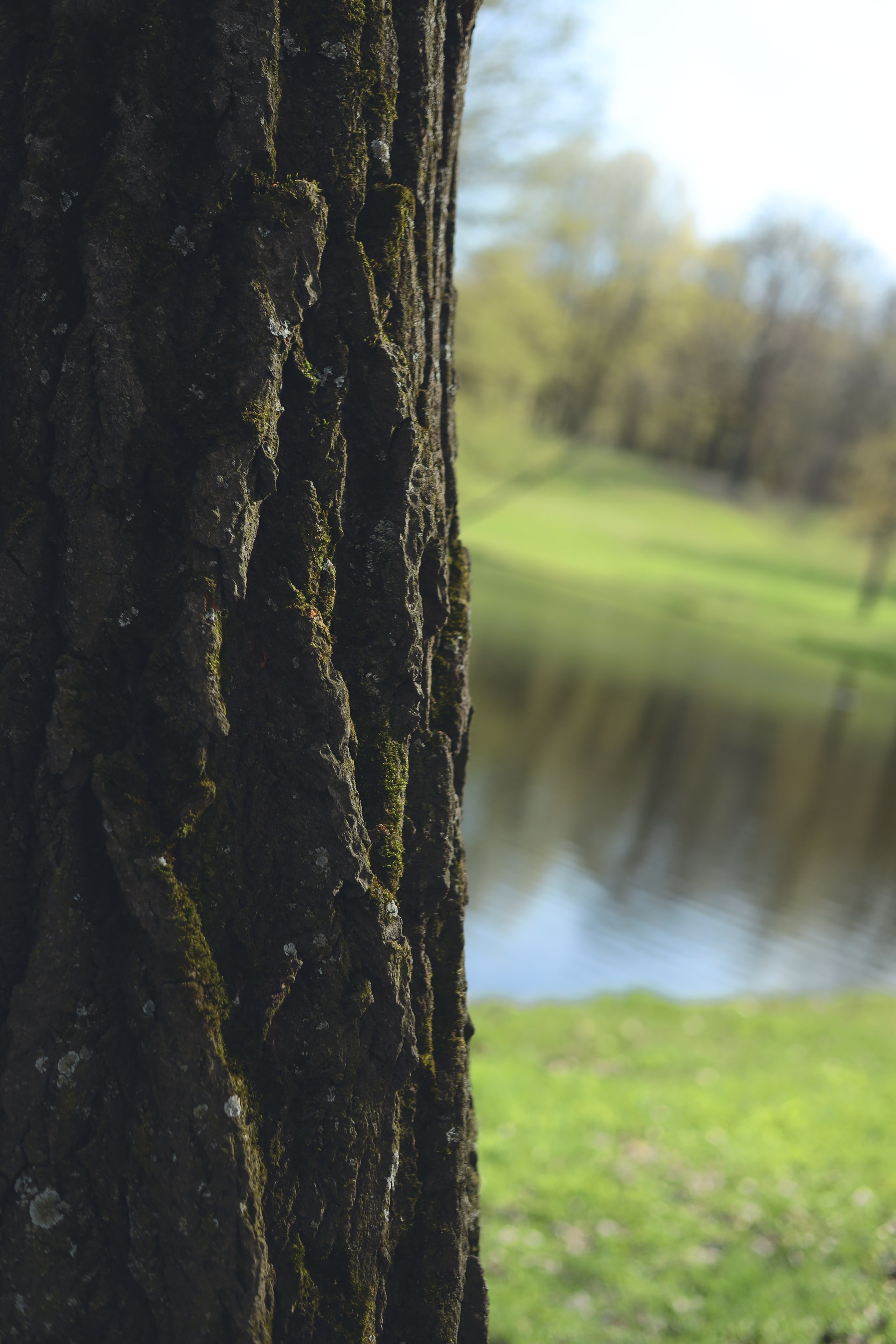 Весна в парке. Фотограф Маша Филиппова