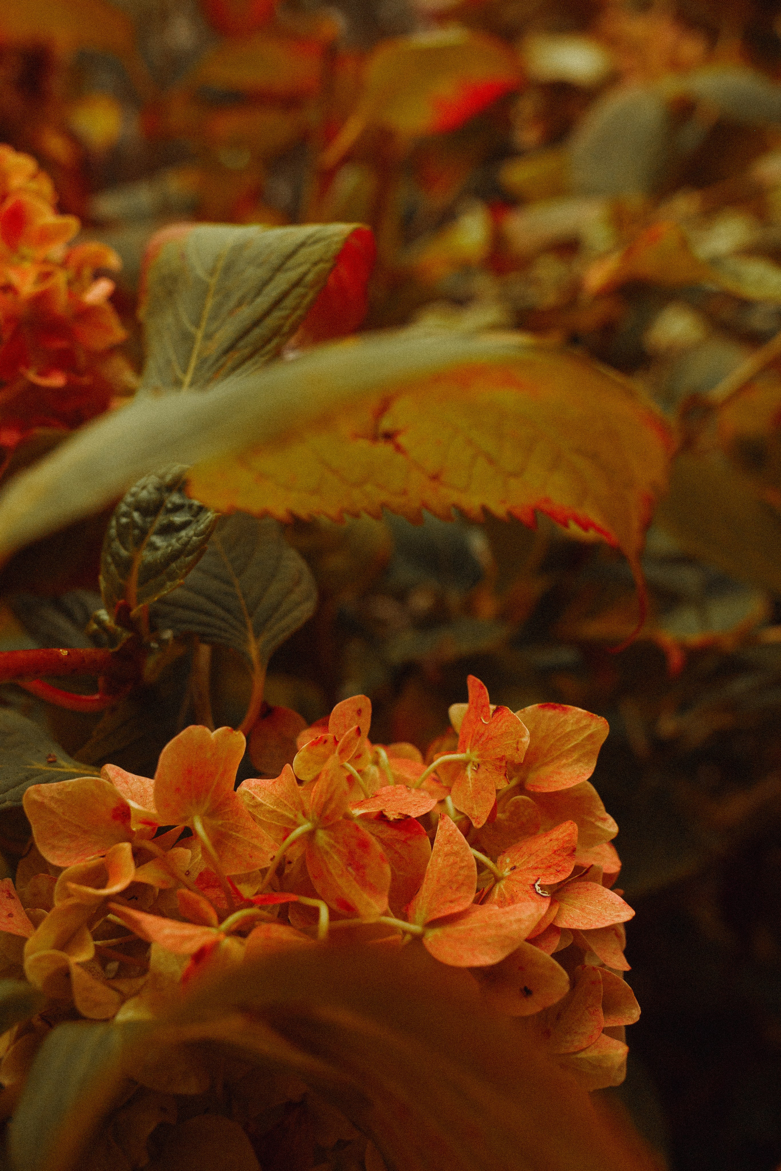 Пресеты лайтрум. Семейный детский фотограф в Калининграде Анна Каратай