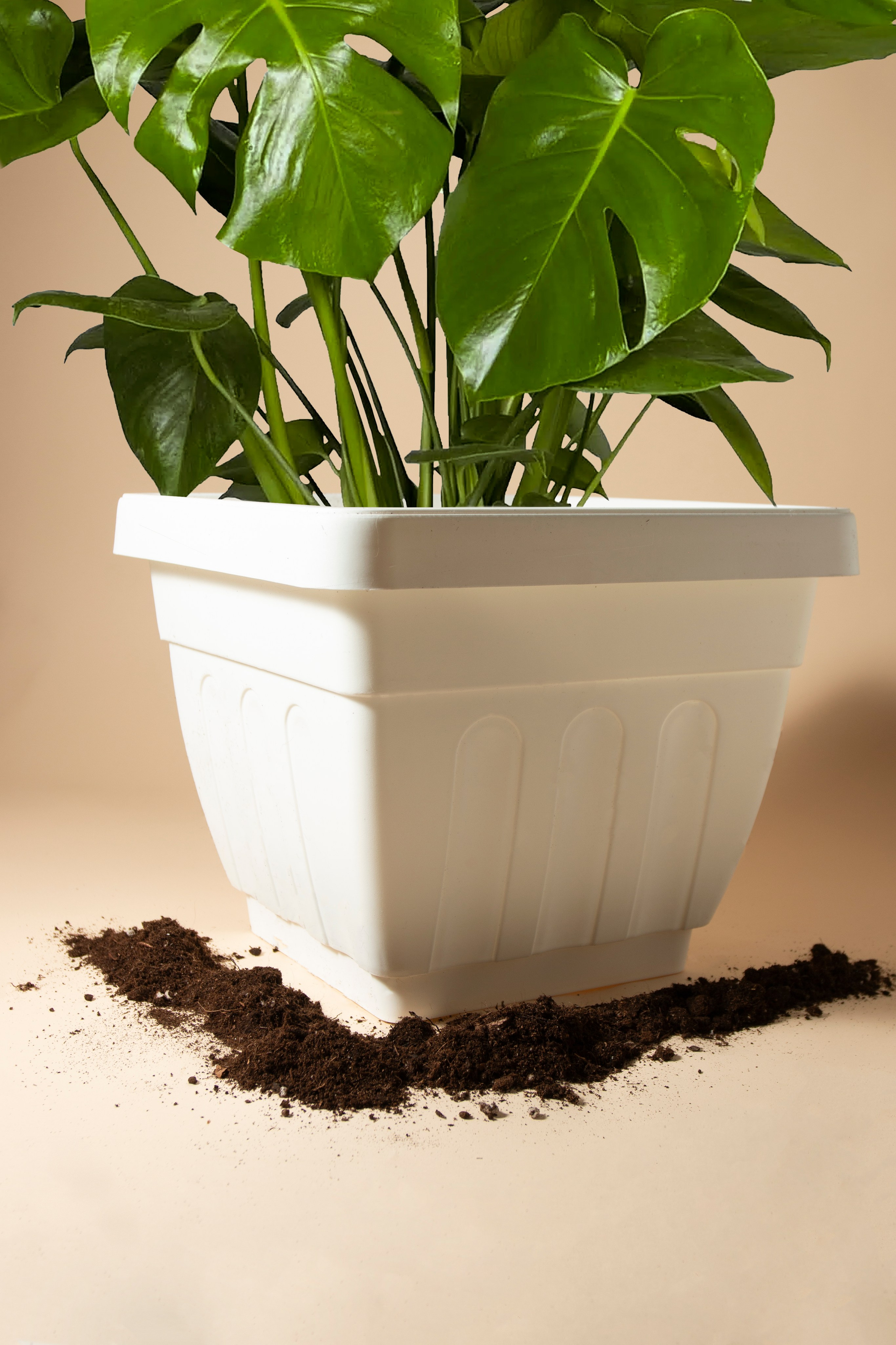 Предметная фотография. Фотограф Злата Спицына