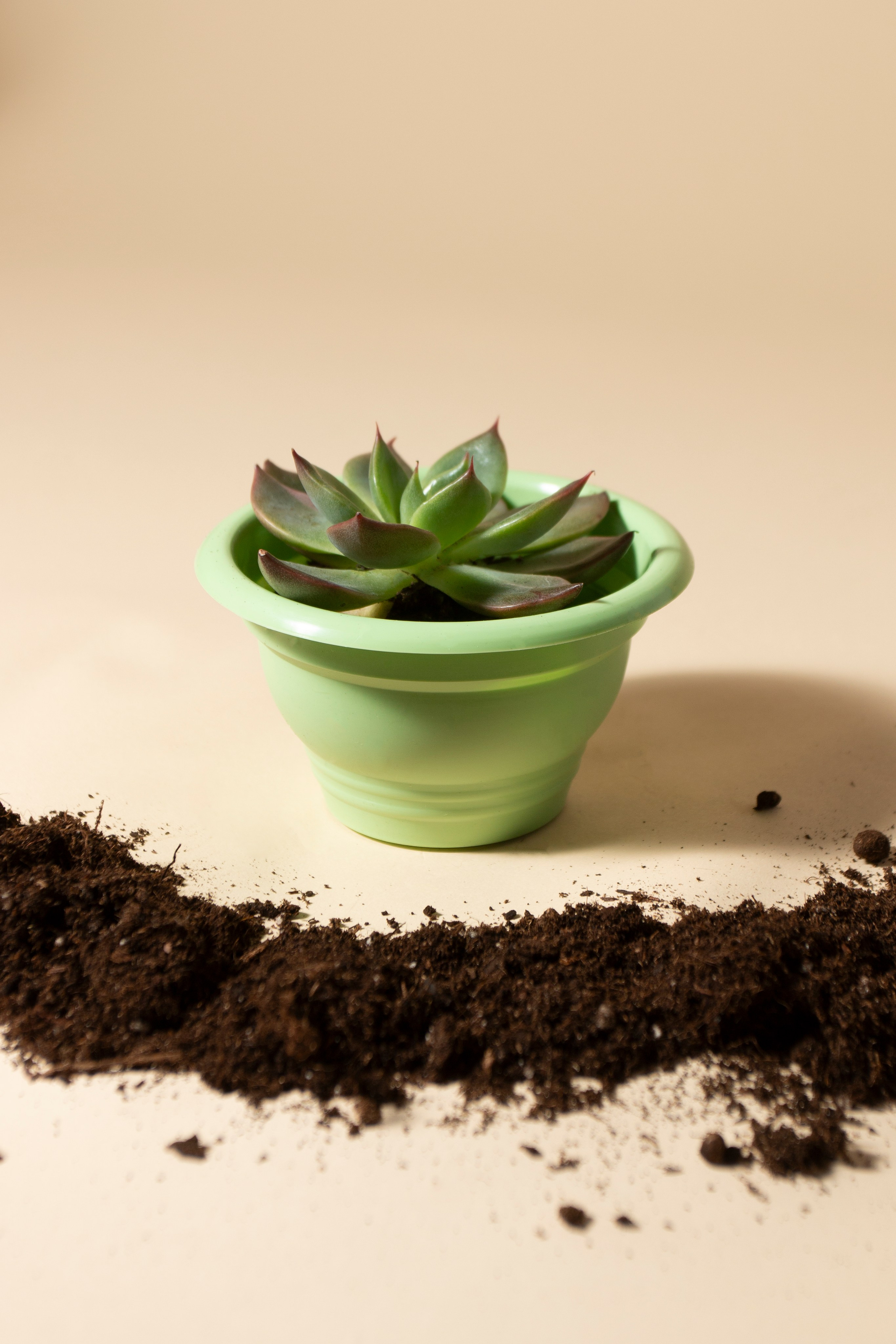 Предметная фотография. Фотограф Злата Спицына