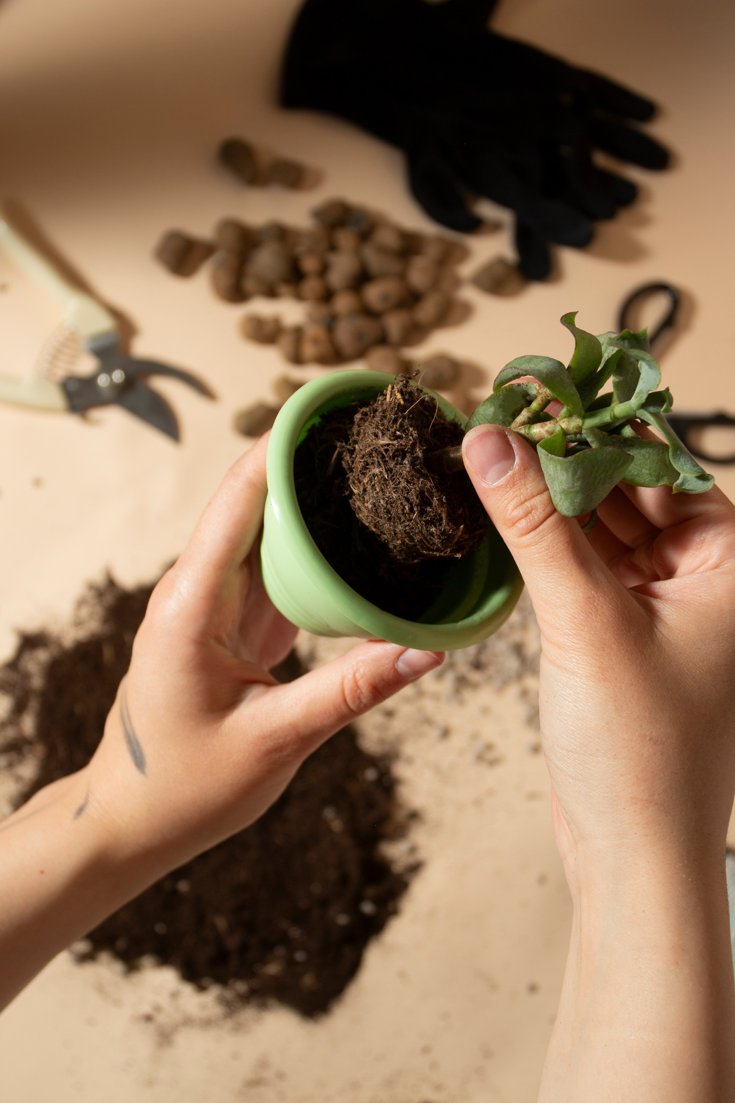 Предметная фотография. Фотограф Злата Спицына