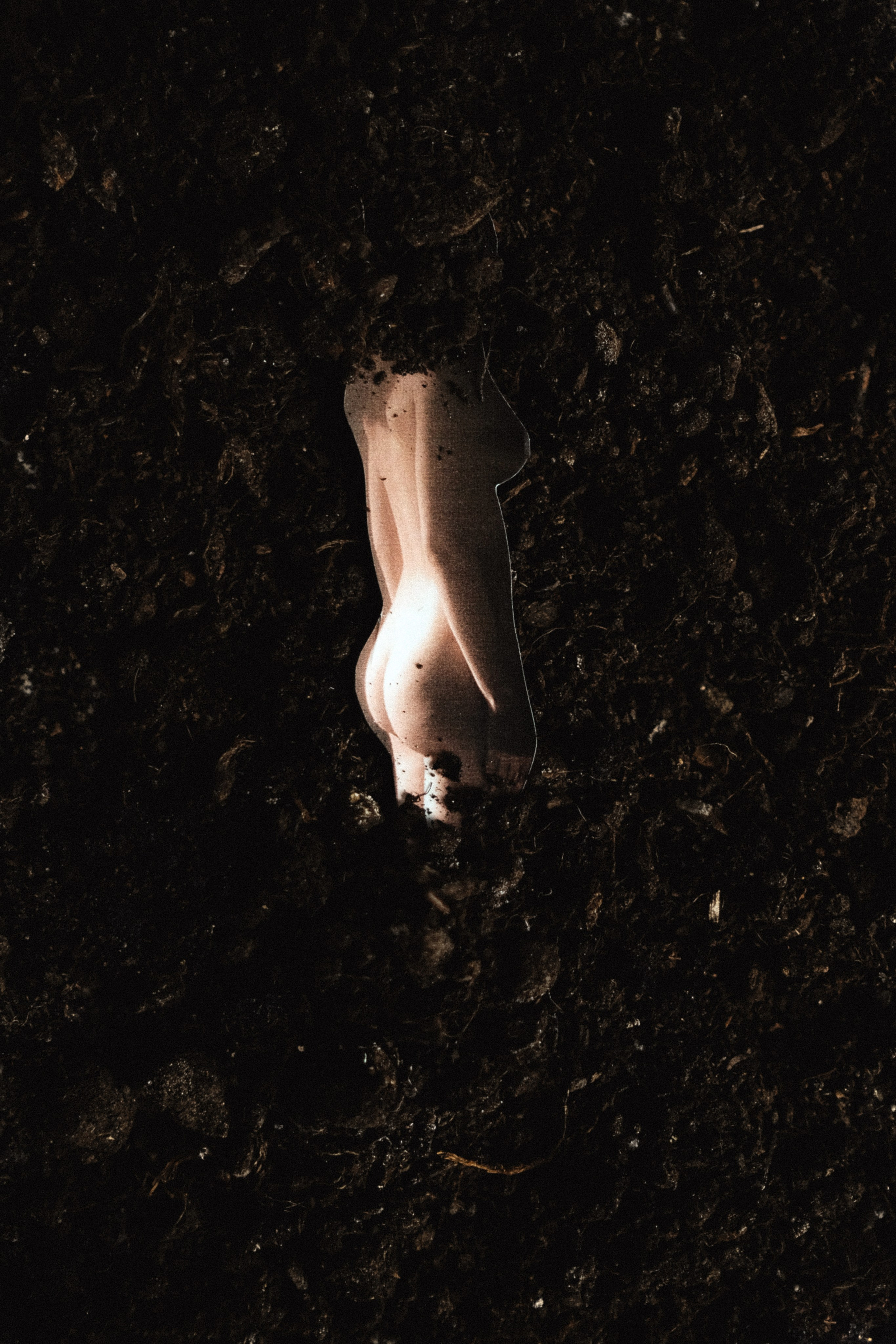 DIRT. VISUAL ARTIST. OLGA ZHDANOVA