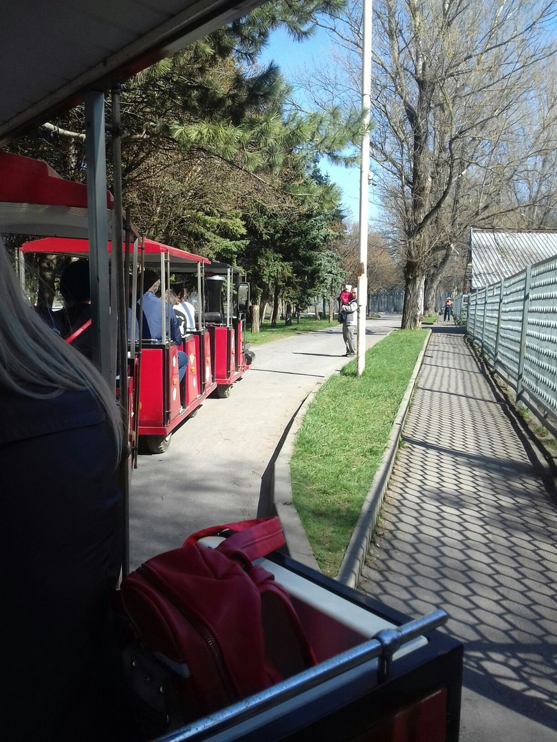 LiveJournal. Главная