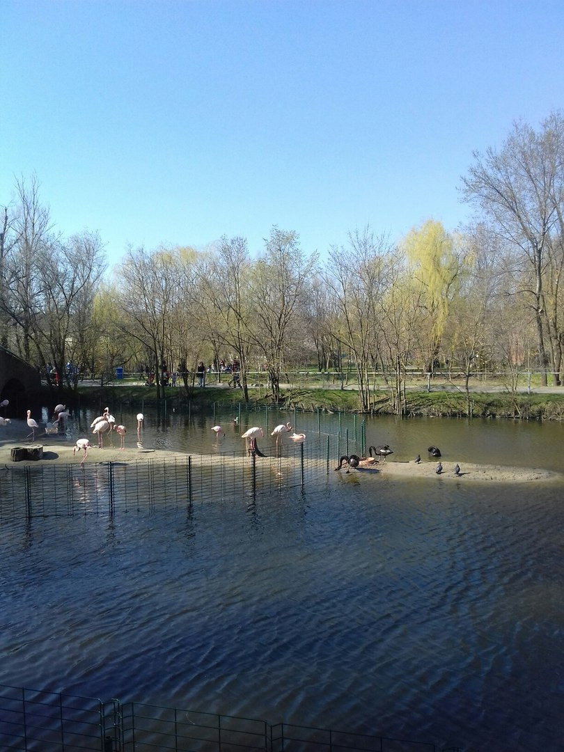 LiveJournal. Главная