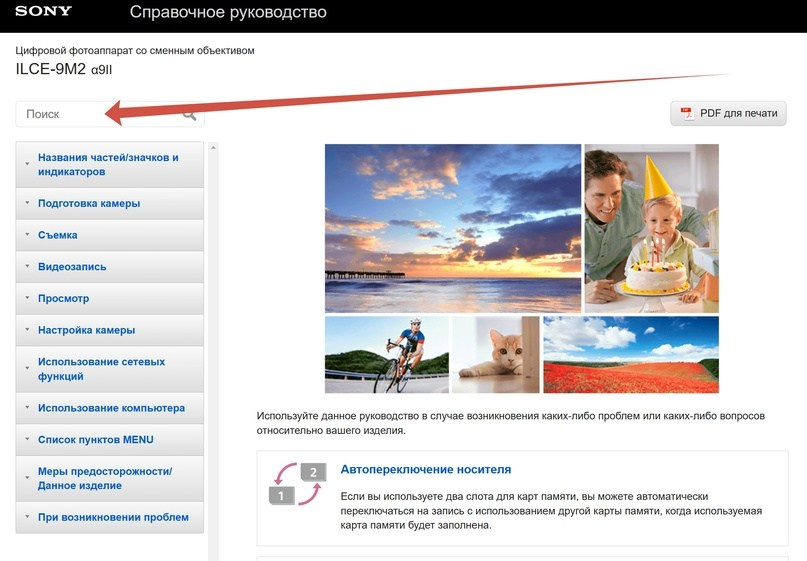 Сони. Международная онлайн фотошкола