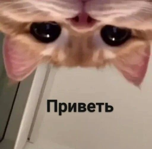 Контакты фотографа Анастасии Скоробогатовой в Барнауле