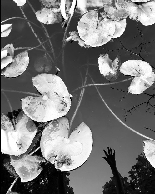 Ботанический Сад, Тбилиси 🇬🇪. Anita_photo