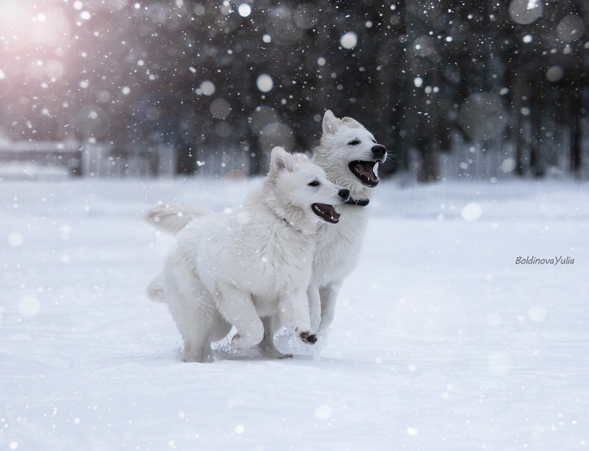 Контакты. Boldinova Yulia фотограф Москва