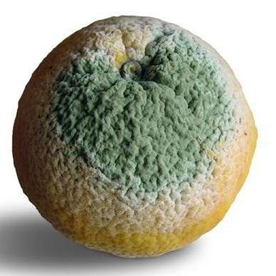 Теория чистого цвета