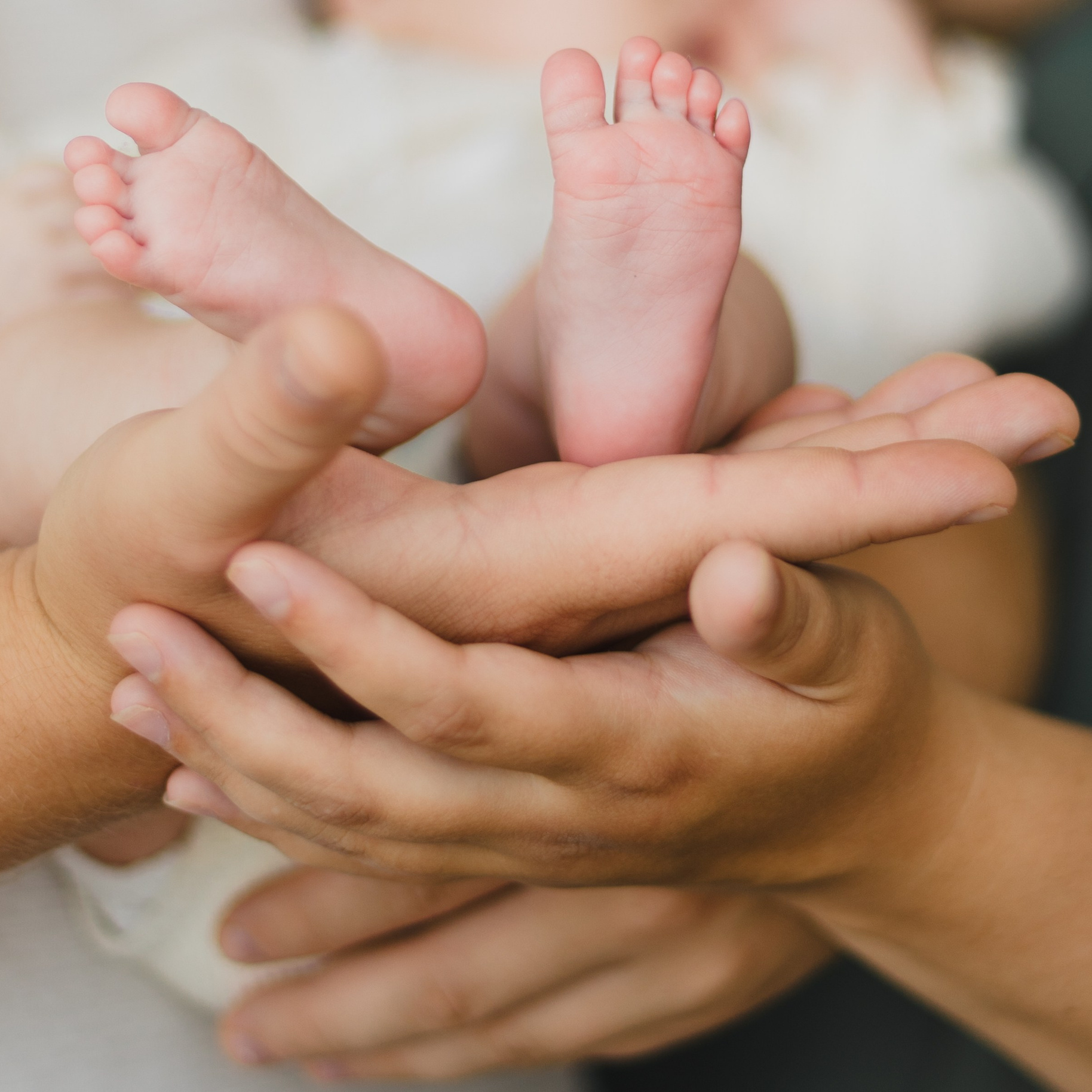 Услуги и цены. Семейный фотограф в Минске