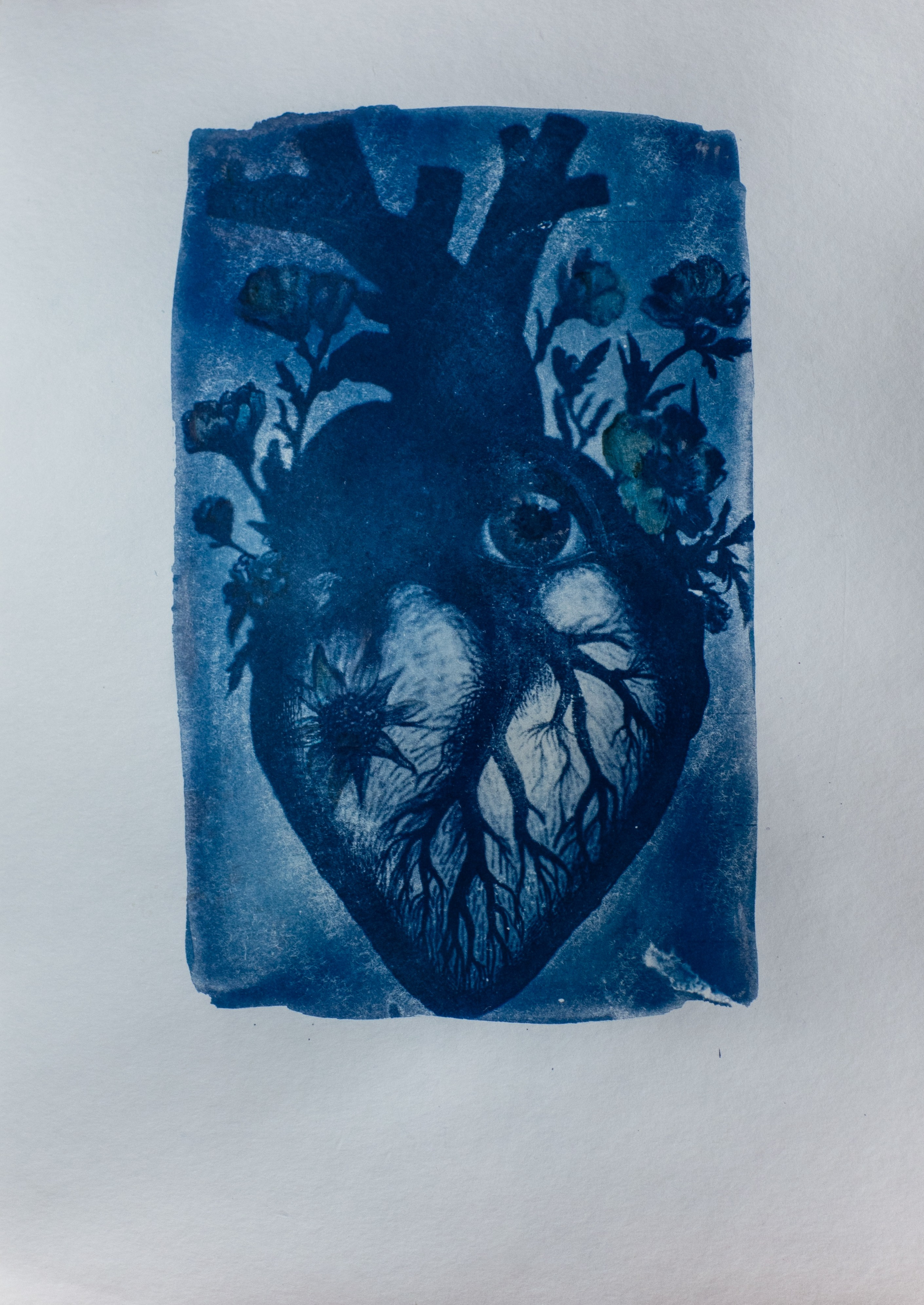 ЦИАНОТИПИЯ. СОВРЕМЕННЫЙ ХУДОЖНИК ОЛЬГА АНДРИЯШ