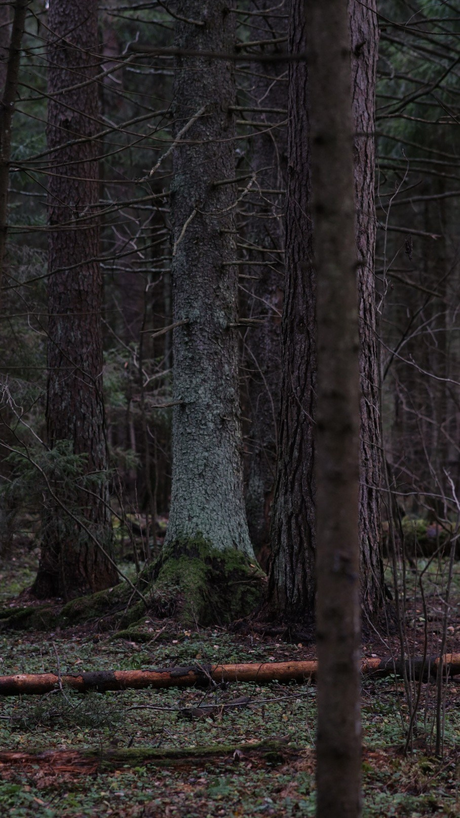 Вдохновение. Фотограф Софья Горбунова