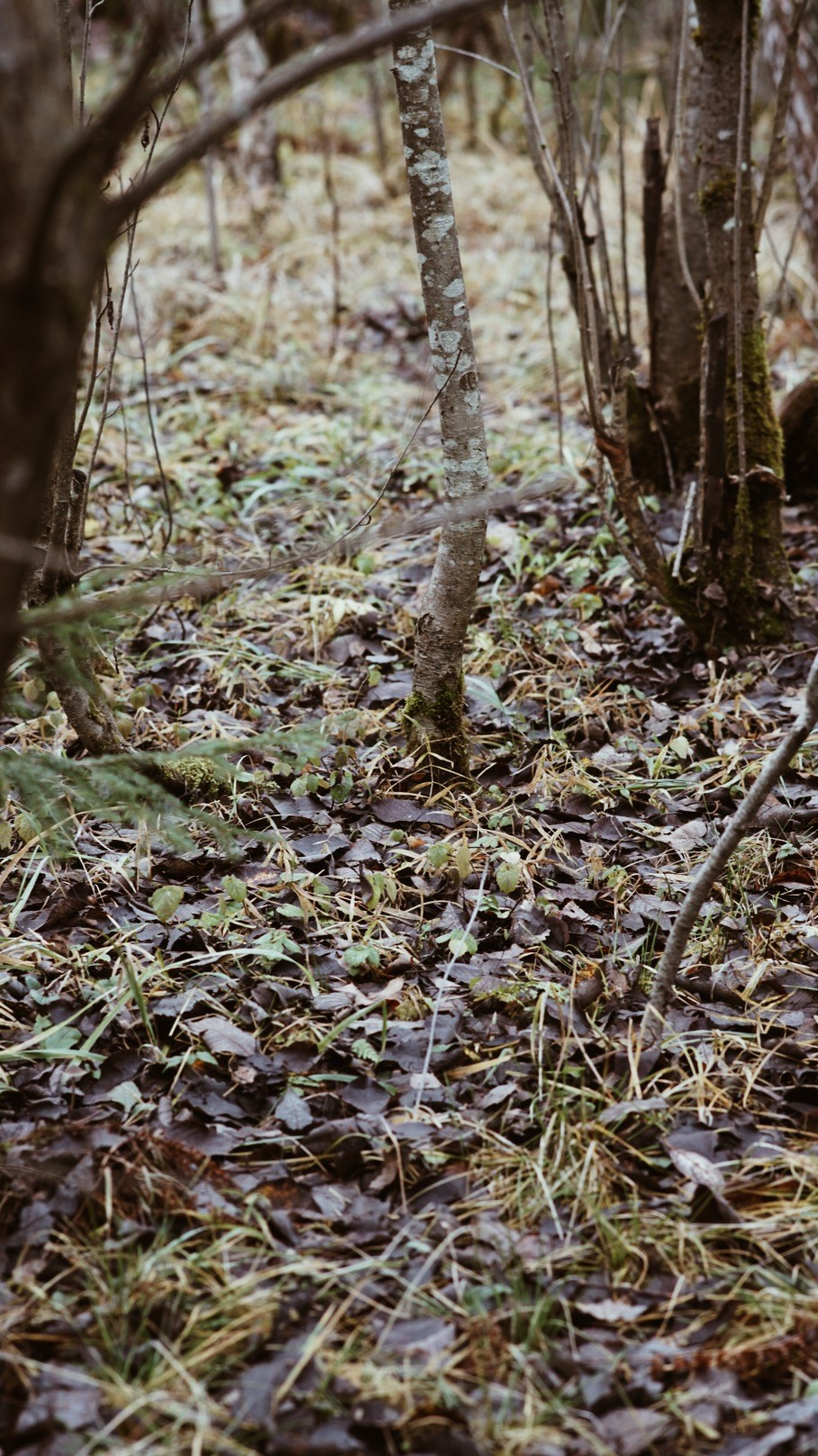 Вдохновение. Фотограф Софья Горбунова