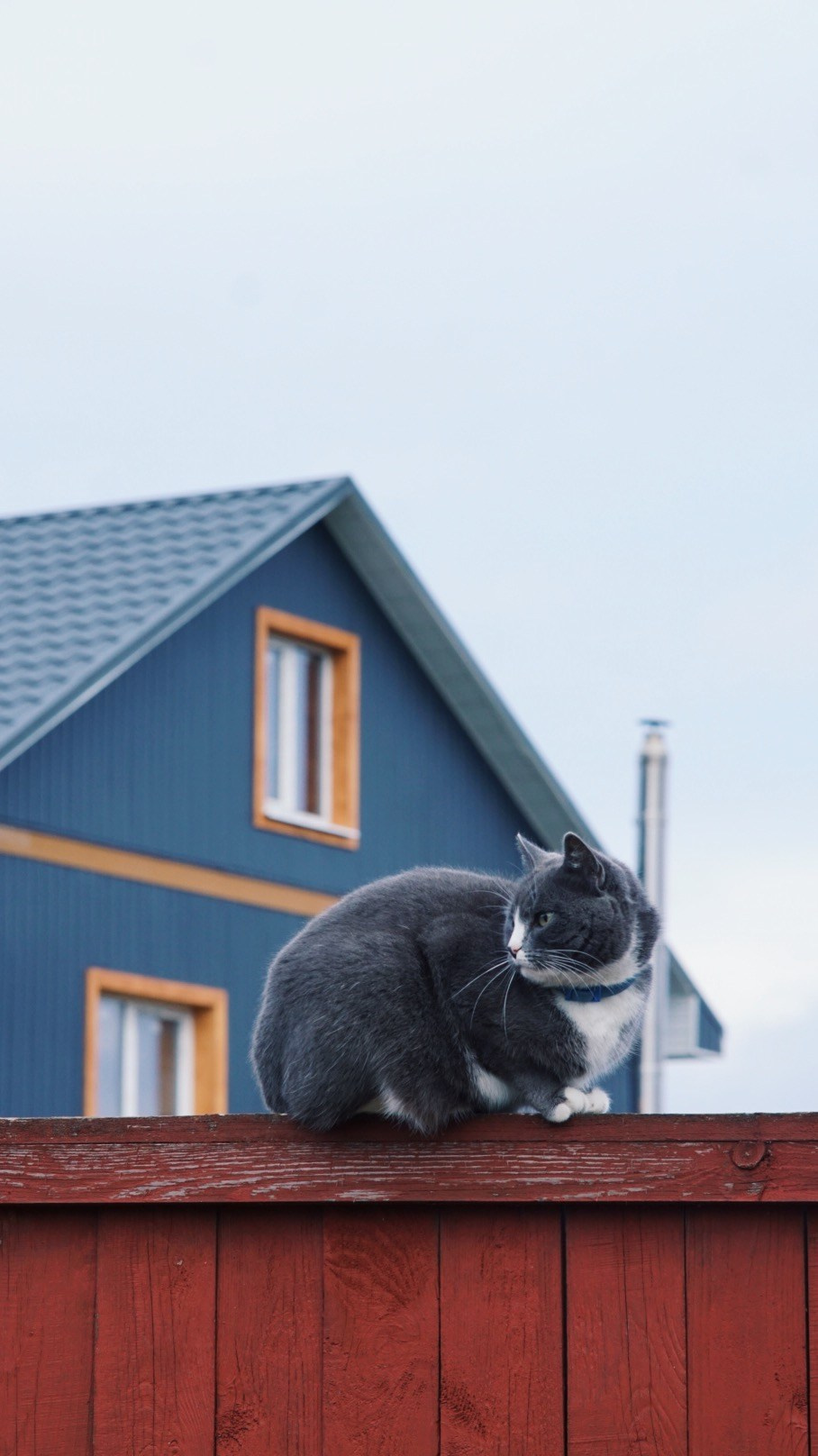 Вдохновение. Фотограф Софья Горбунова