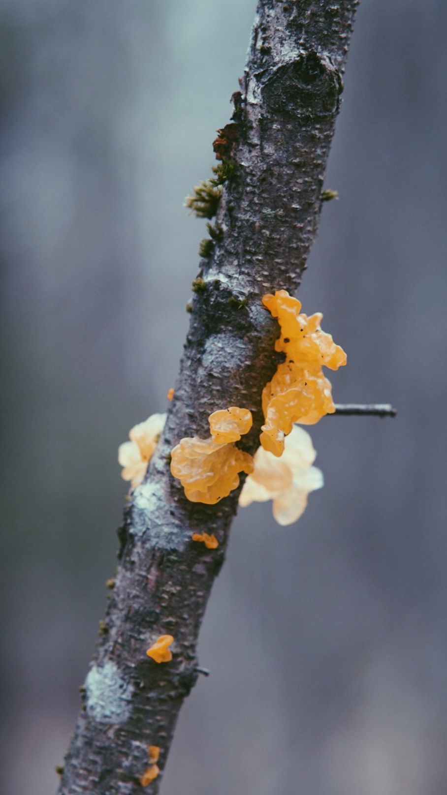 Вдохновение. Фотограф Софья Горбунова