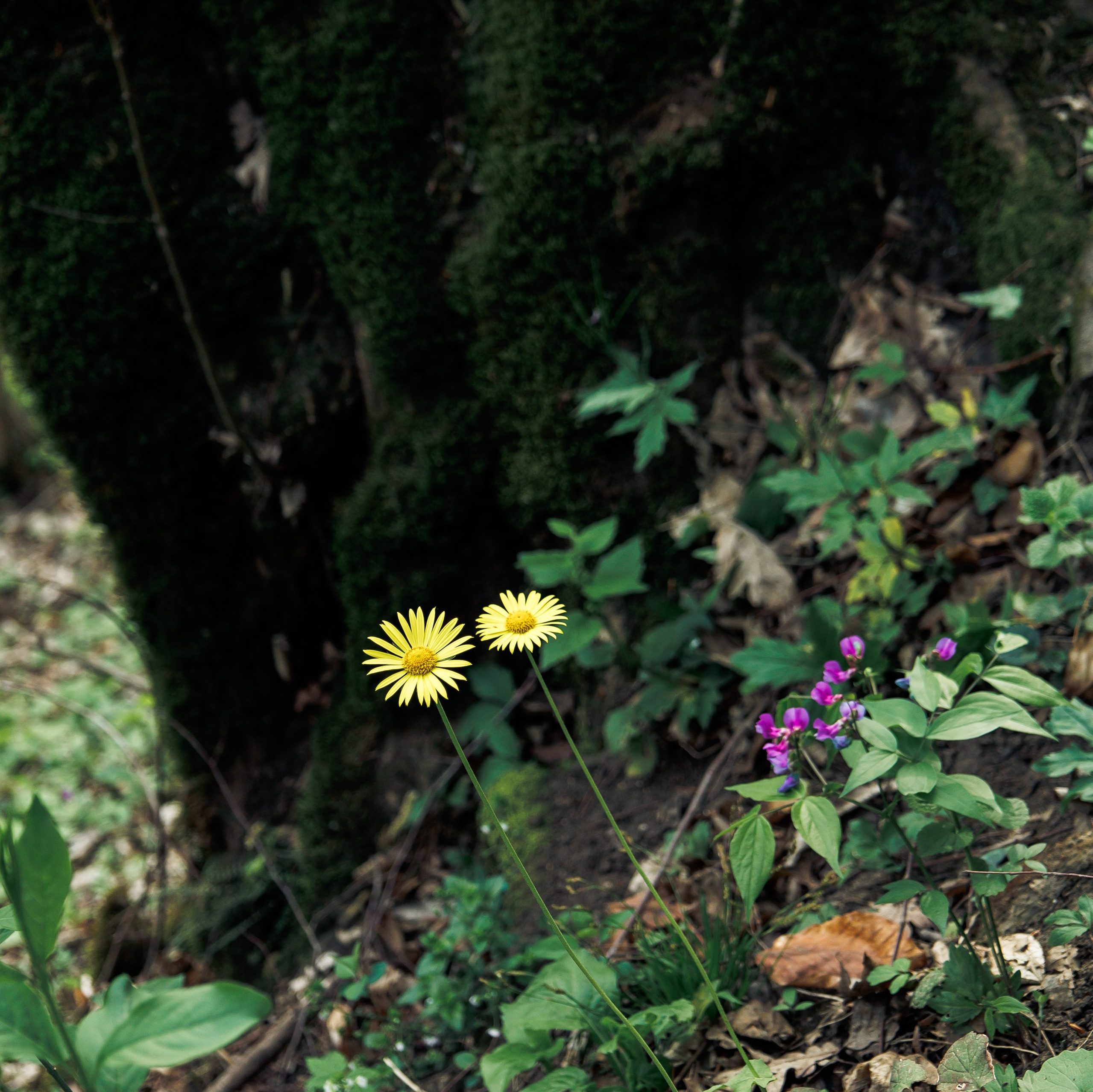 Обо мне. Фотограф katya_vkadre Таганрог