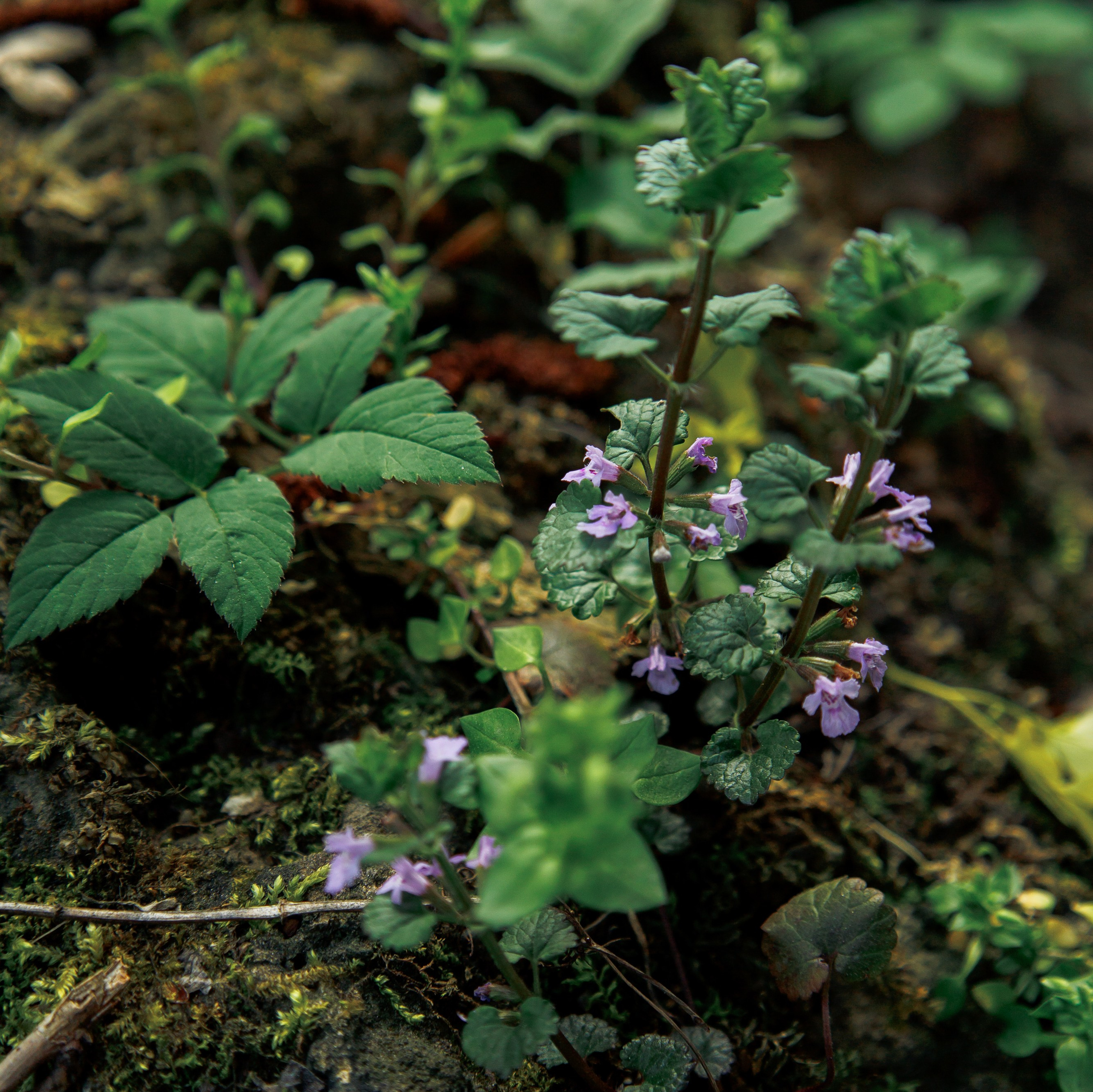 Обо мне. Фотограф katya_vkadre Таганрог