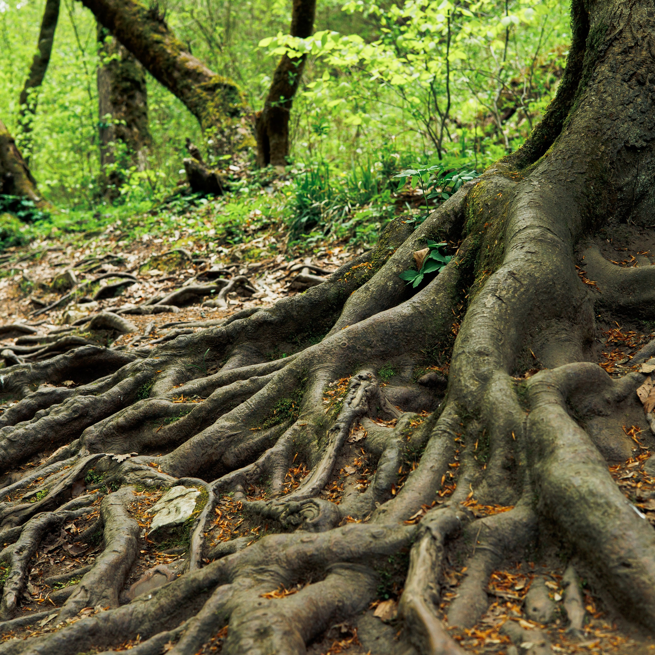 Обо мне. Фотограф katya_vkadre Таганрог