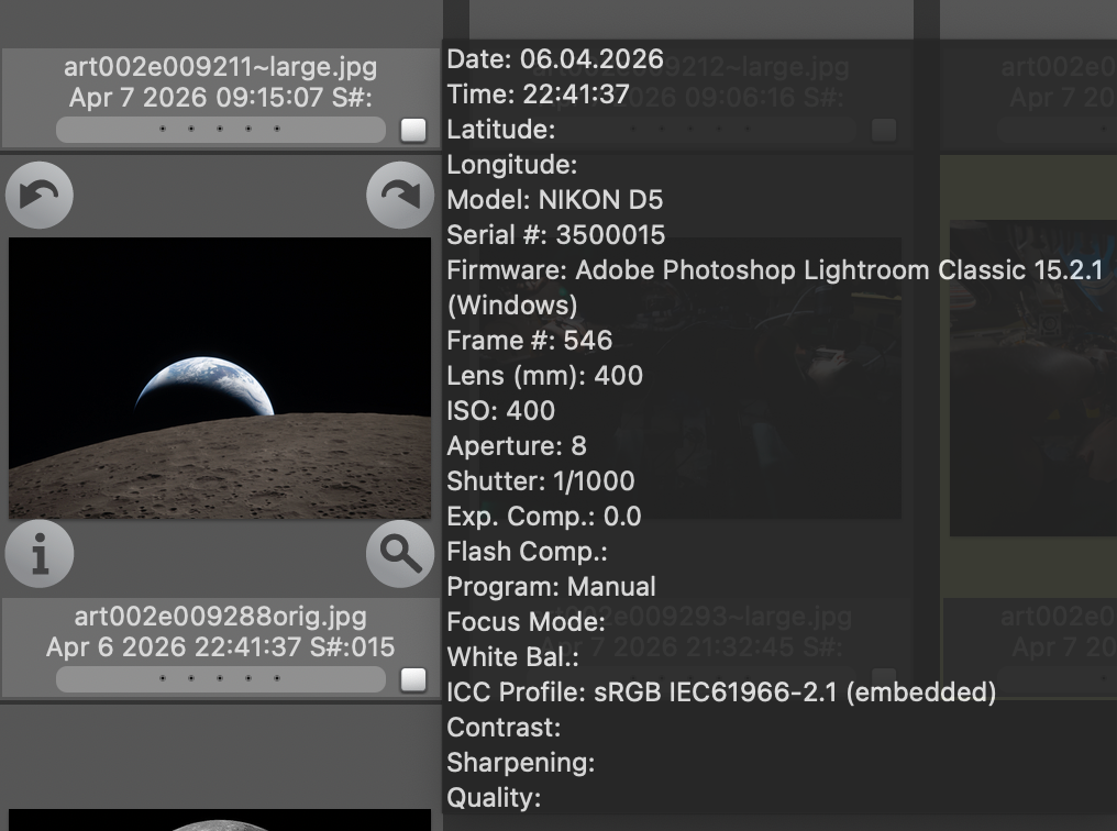 А точно ли это Nikon Z9?. Репортажный фотограф в Сочи — Михаил Мордасов
