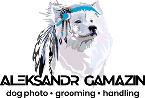 aleks17gamazin.wfolio.pro