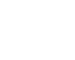 luna-photo-school.ru