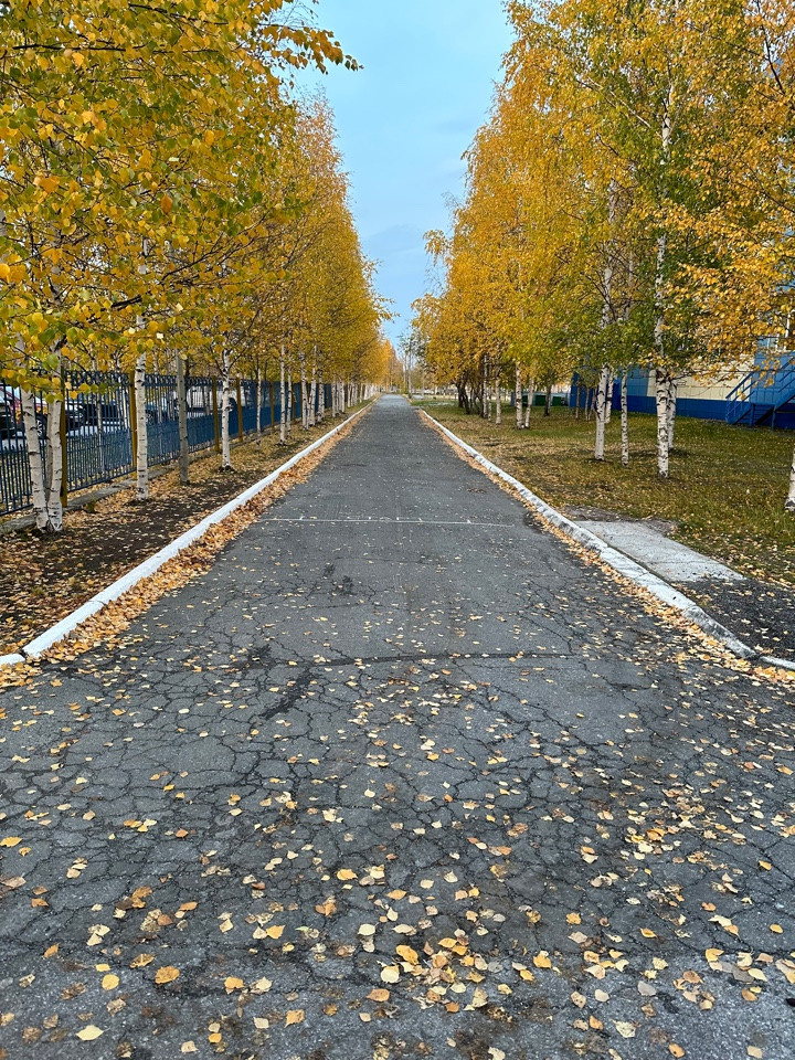 11 А ОСЕНЬ ПЛАН ДЕЙСТВИЙ НА ФОТОСЕССИИ, ПРИМЕРЫ ПОЗИРОВАНИЯ