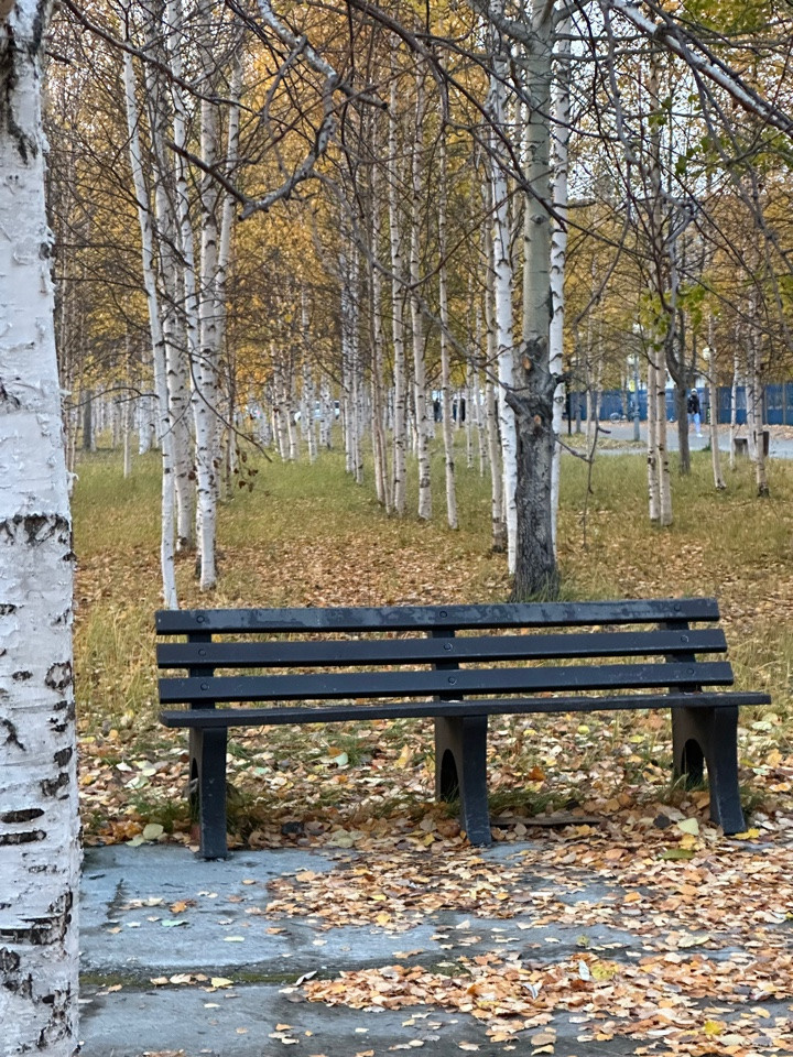 11 А ОСЕНЬ ПЛАН ДЕЙСТВИЙ НА ФОТОСЕССИИ, ПРИМЕРЫ ПОЗИРОВАНИЯ