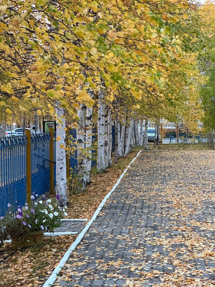11 А ОСЕНЬ ПЛАН ДЕЙСТВИЙ НА ФОТОСЕССИИ, ПРИМЕРЫ ПОЗИРОВАНИЯ