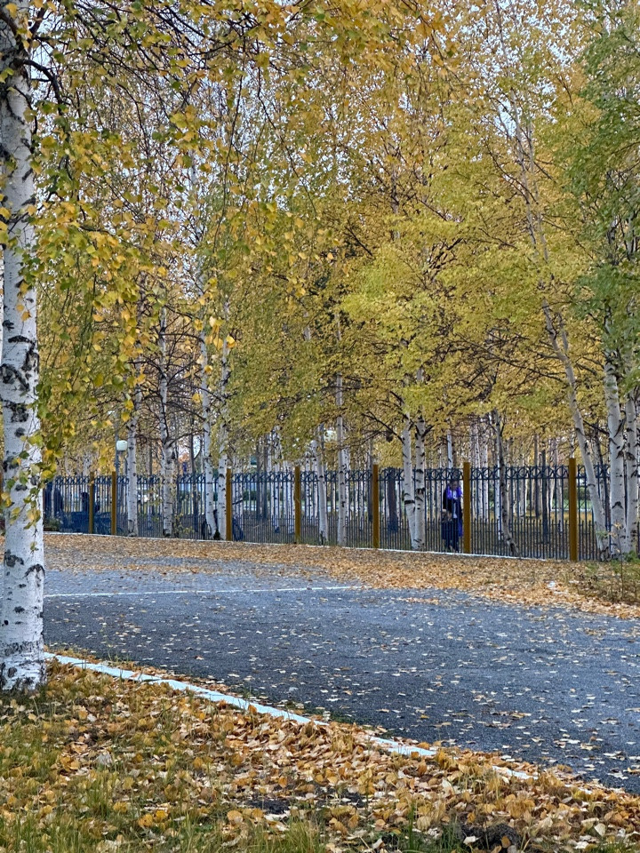 11 А ОСЕНЬ ПЛАН ДЕЙСТВИЙ НА ФОТОСЕССИИ, ПРИМЕРЫ ПОЗИРОВАНИЯ